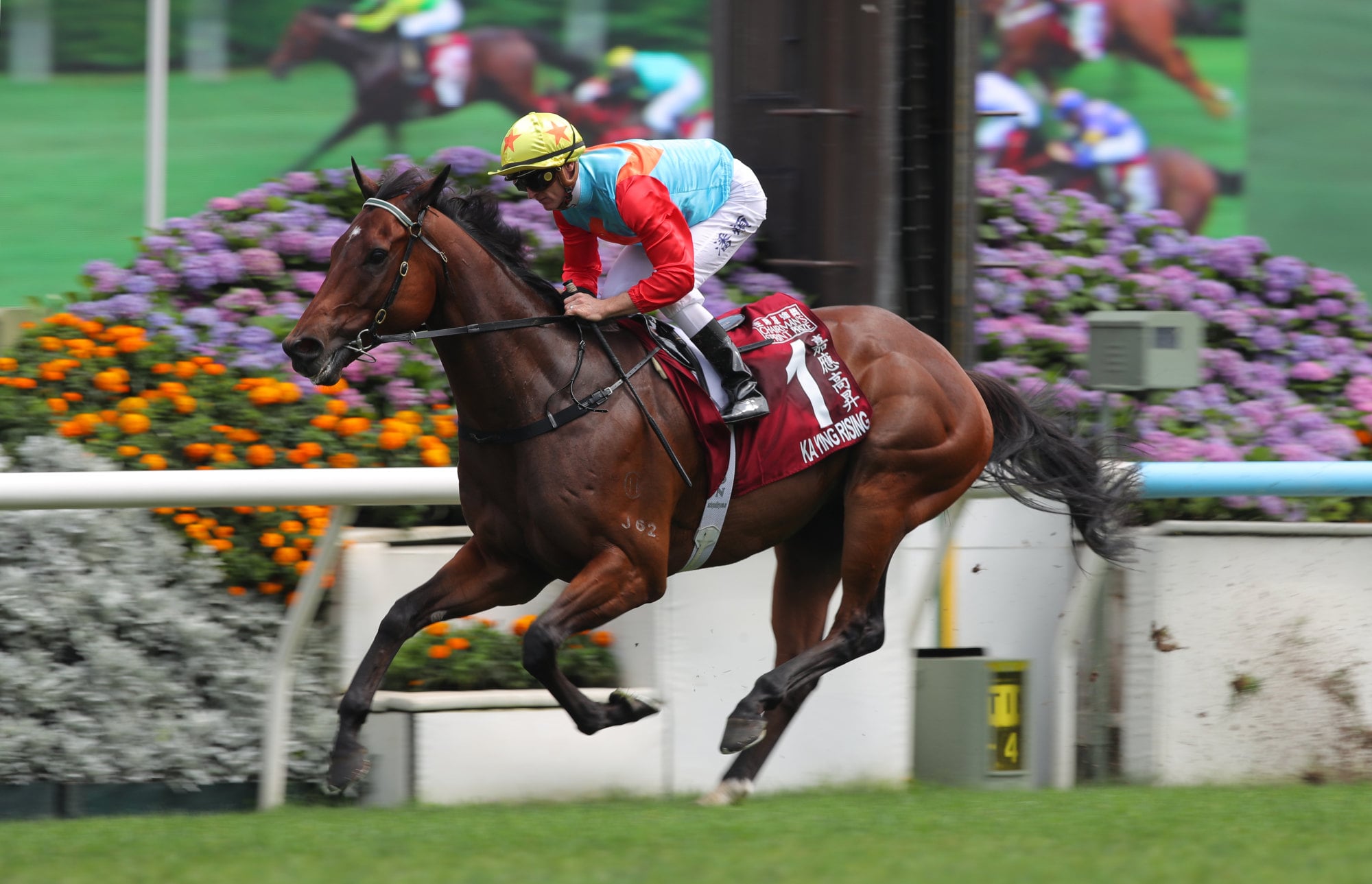 Ka Ying Rising cruises to victory in the Chairman’s Sprint Prize.