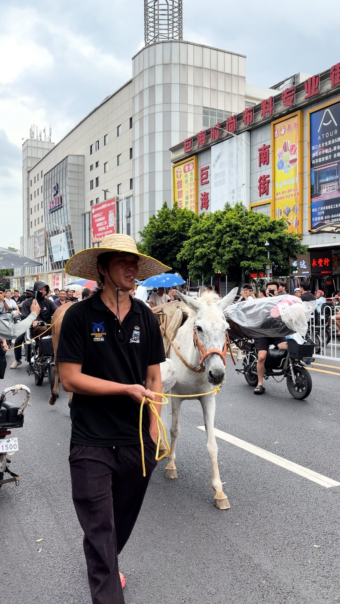 Workers turn to horses in protest against e-bike ban in major China textile hub