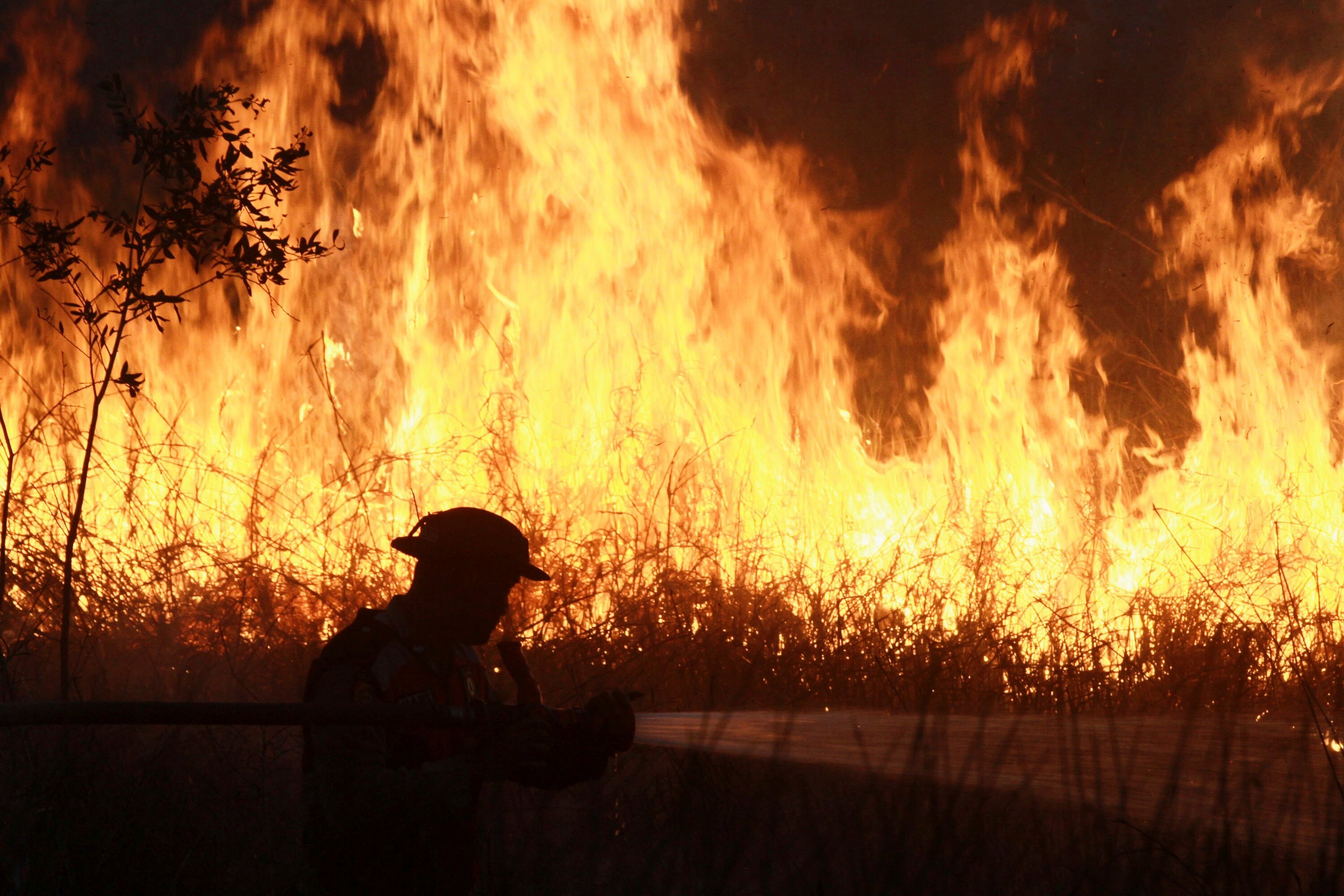 A police officer sprays water in a bid to extinguish a fire razing through a peatland field in Ogan Ilir, South Sumatra, Indonesia, in July last year. Photo: AP