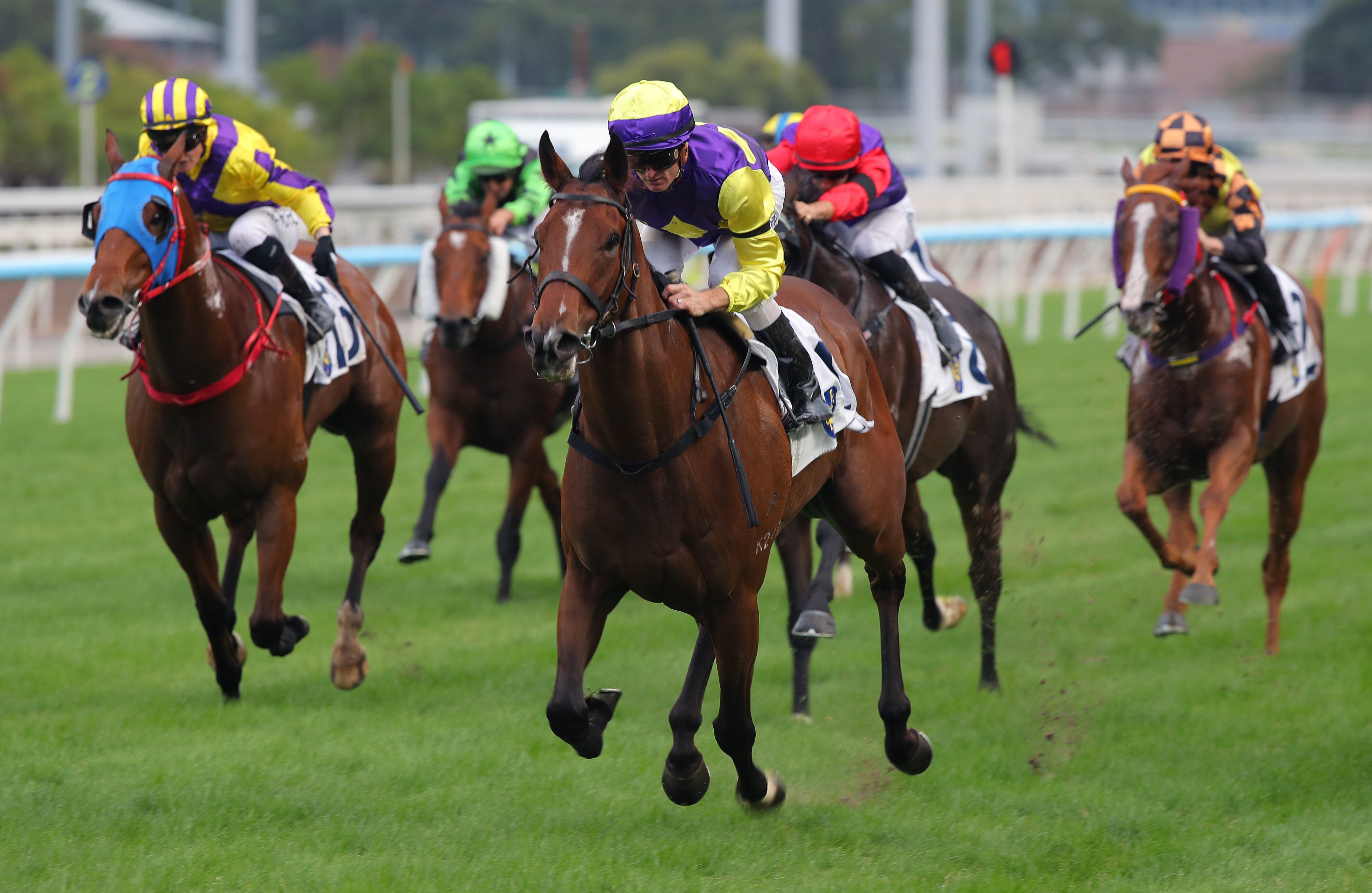 Colourful King wins up the Sha Tin straight in November. Photos: Kenneth Chan