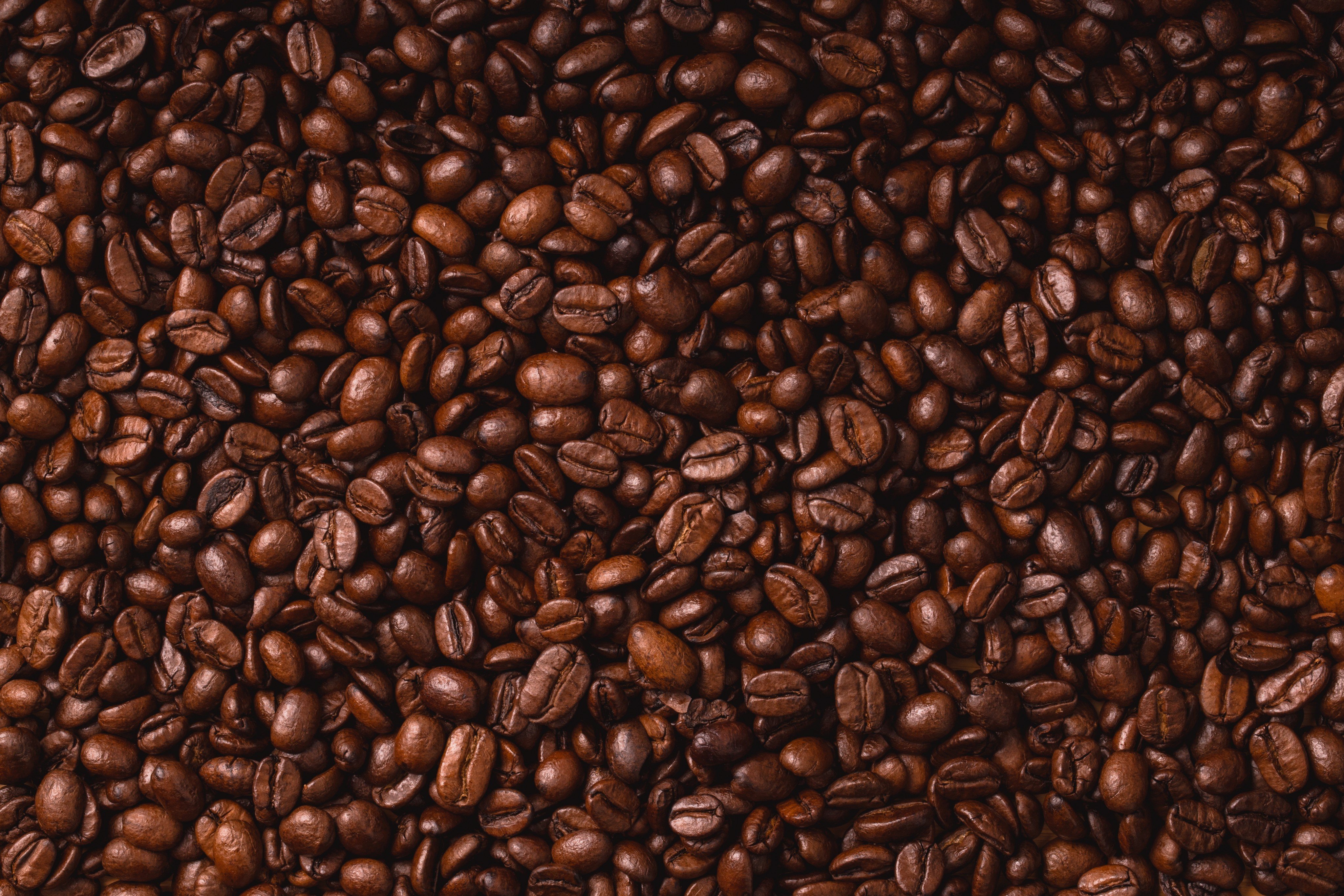 In Africa, some agricultural products, including coffee beans, that meet baseline requirements on pest risks, processing and safety are eligible for export to China, eliminating the need for country-by-country trade deals. Photo: Shutterstock
