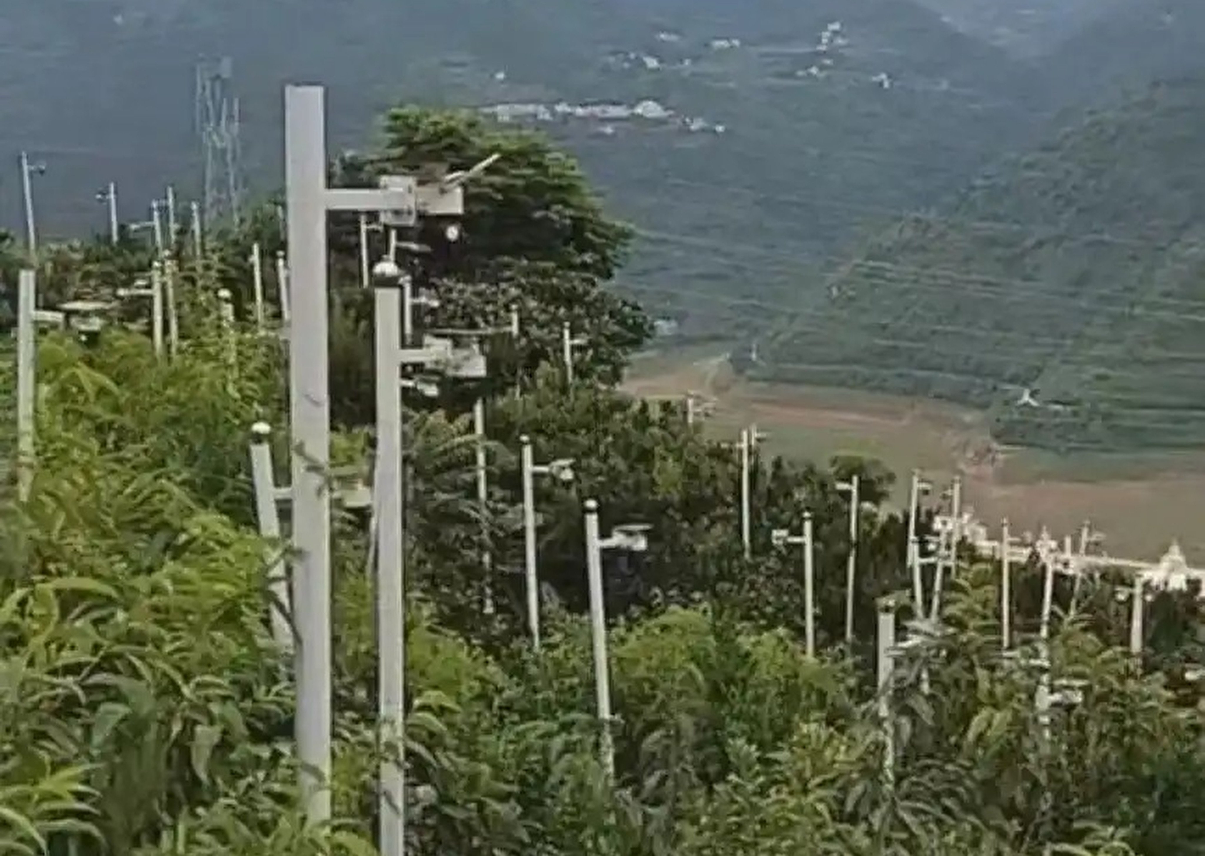 Images of the cameras set tounges wagging online. Photo: Handout