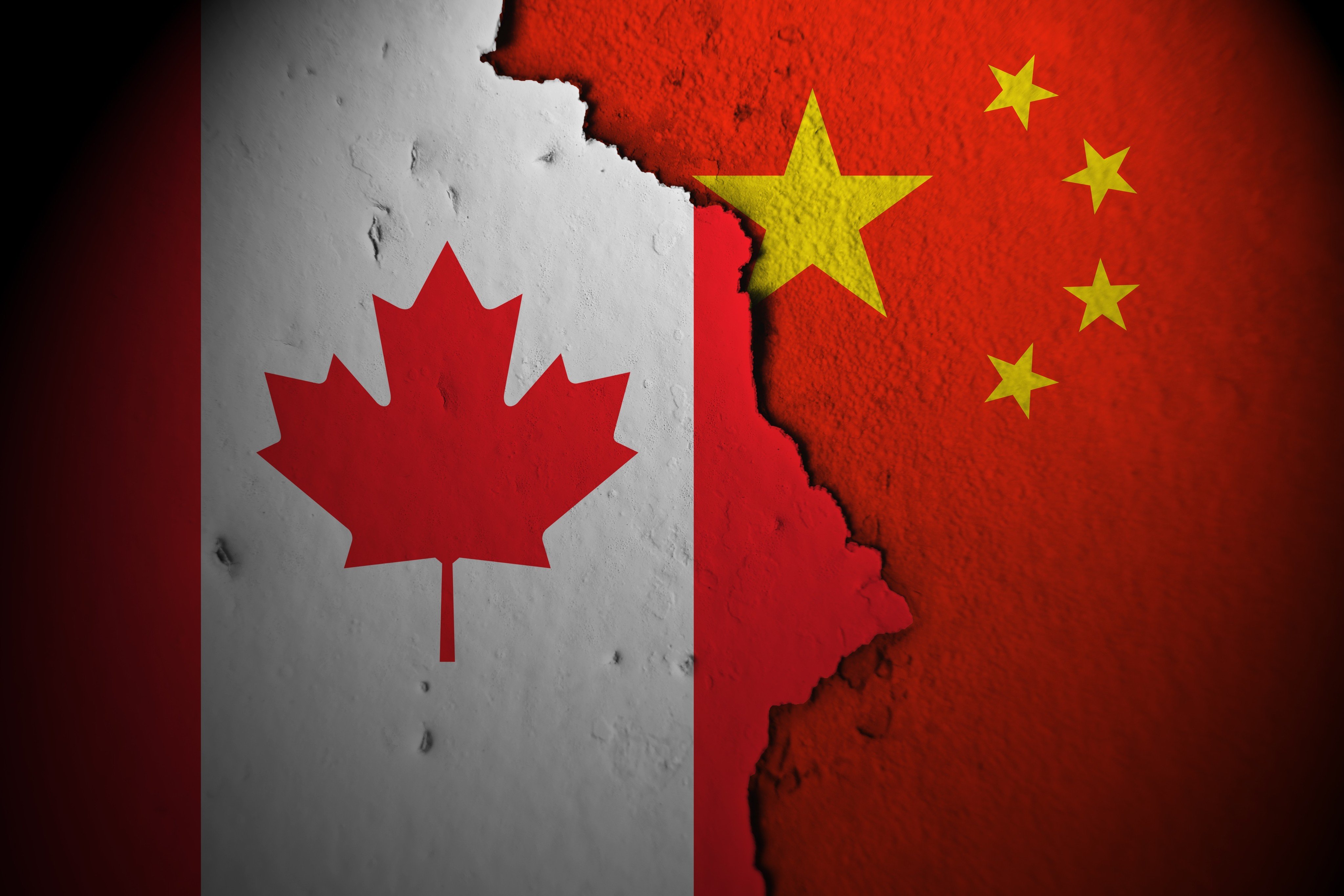 China’s Ministry of Commerce said Canadian exporters sold pea starch at prices undercutting Chinese producers. Photo: Shutterstock