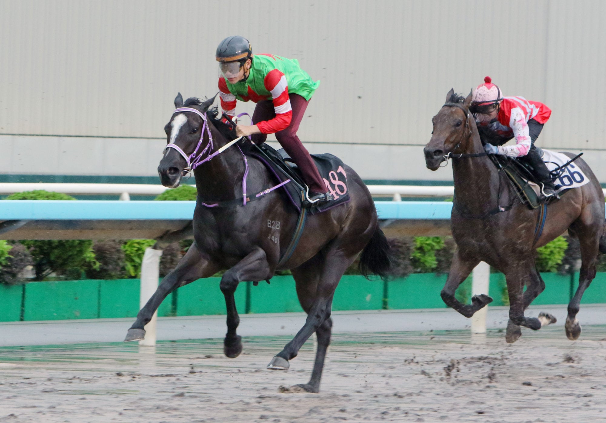 High Trials of the Dragon in Sha Tin.