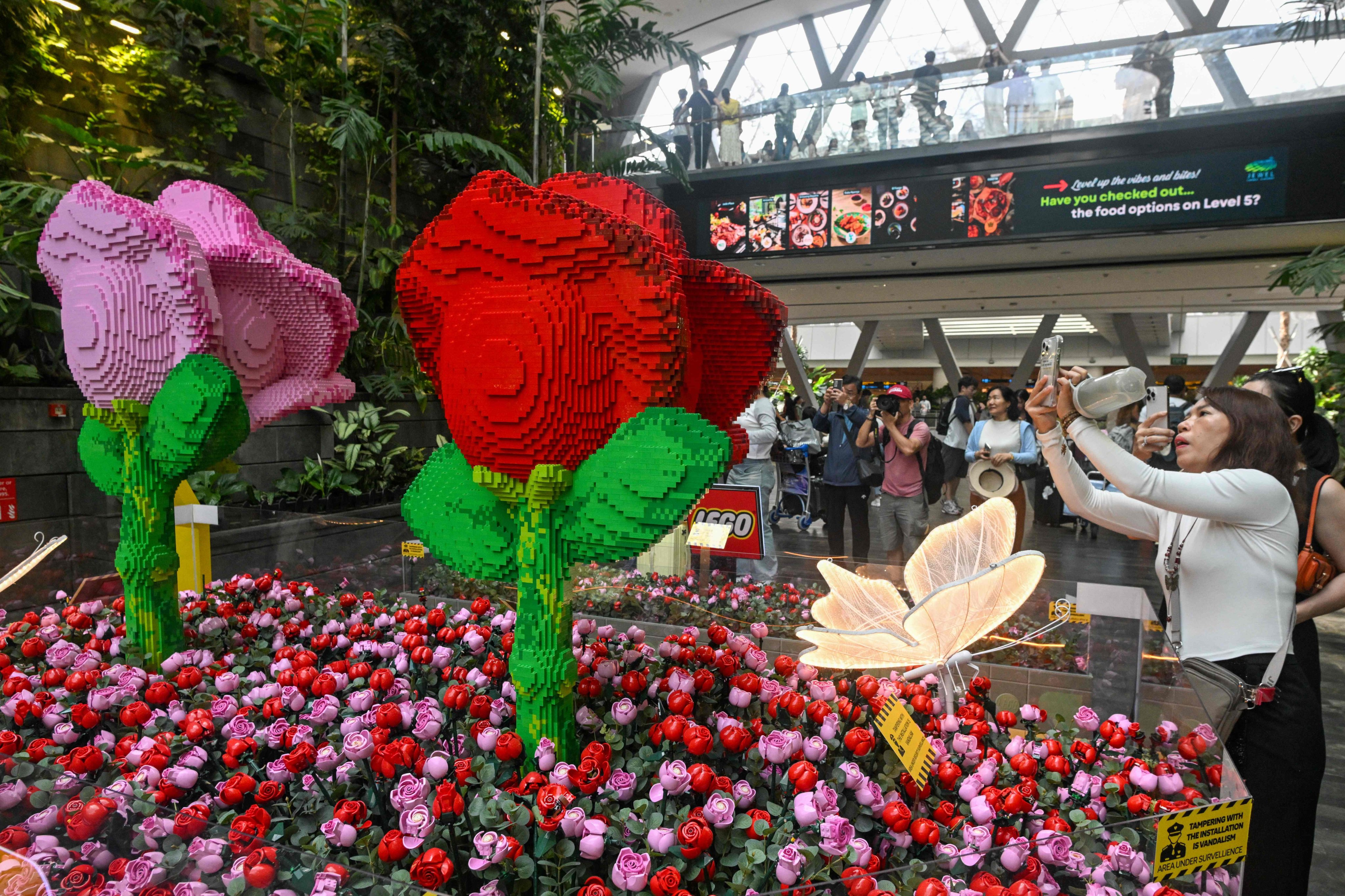People take pictures of roses created with Lego blocks at the Jewel Complex at Singapore Changi Airport on June 23. Photo: AFP