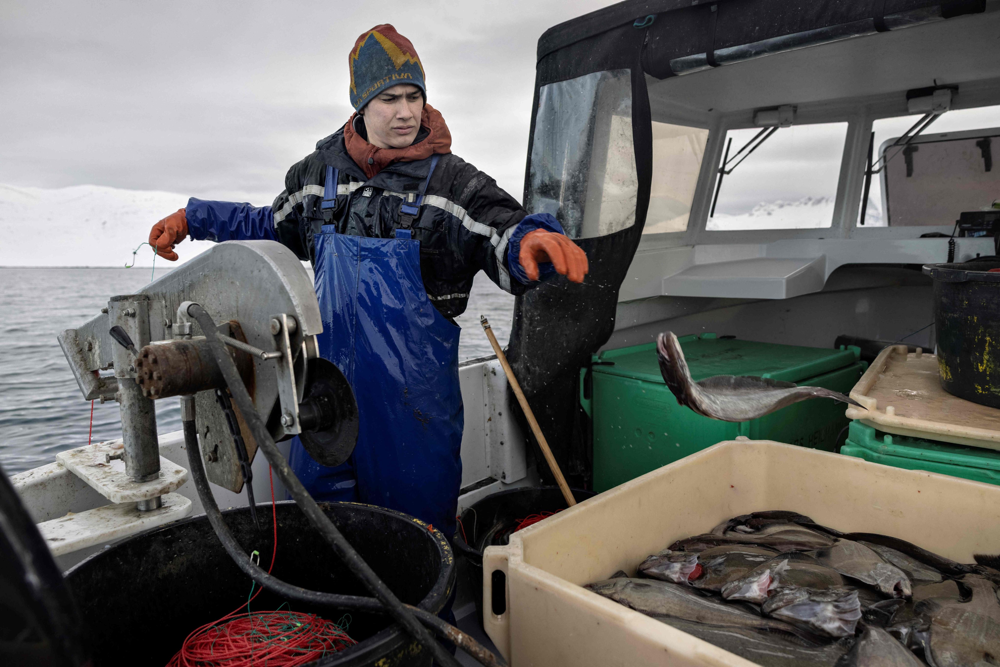 A fisherman wheels in a halibut caught in the Nuuk fjord off the coast of Greenland. Photo: AFP