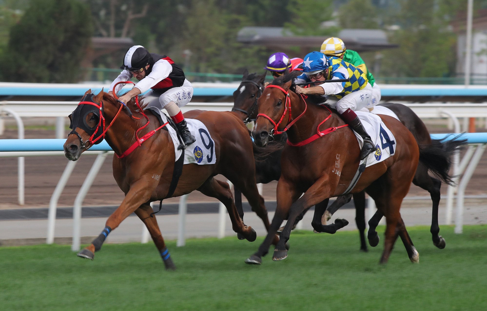 Young Champion (inside) gets up under Andrea Atzeni at Sha Tin. Young Champion (inside) gets up under Andrea Atzeni at Sha Tin.