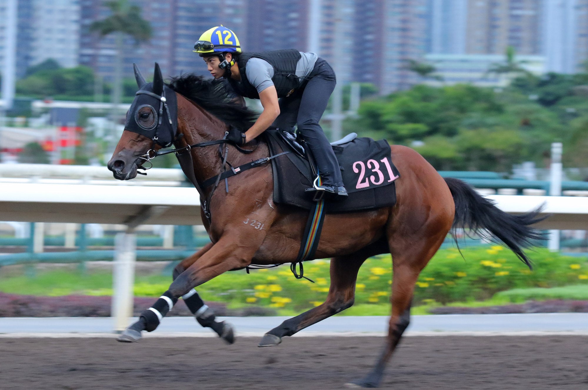 Sunday’s Serenade gallops at Sha Tin last month. Sunday’s Serenade gallops at Sha Tin last month.