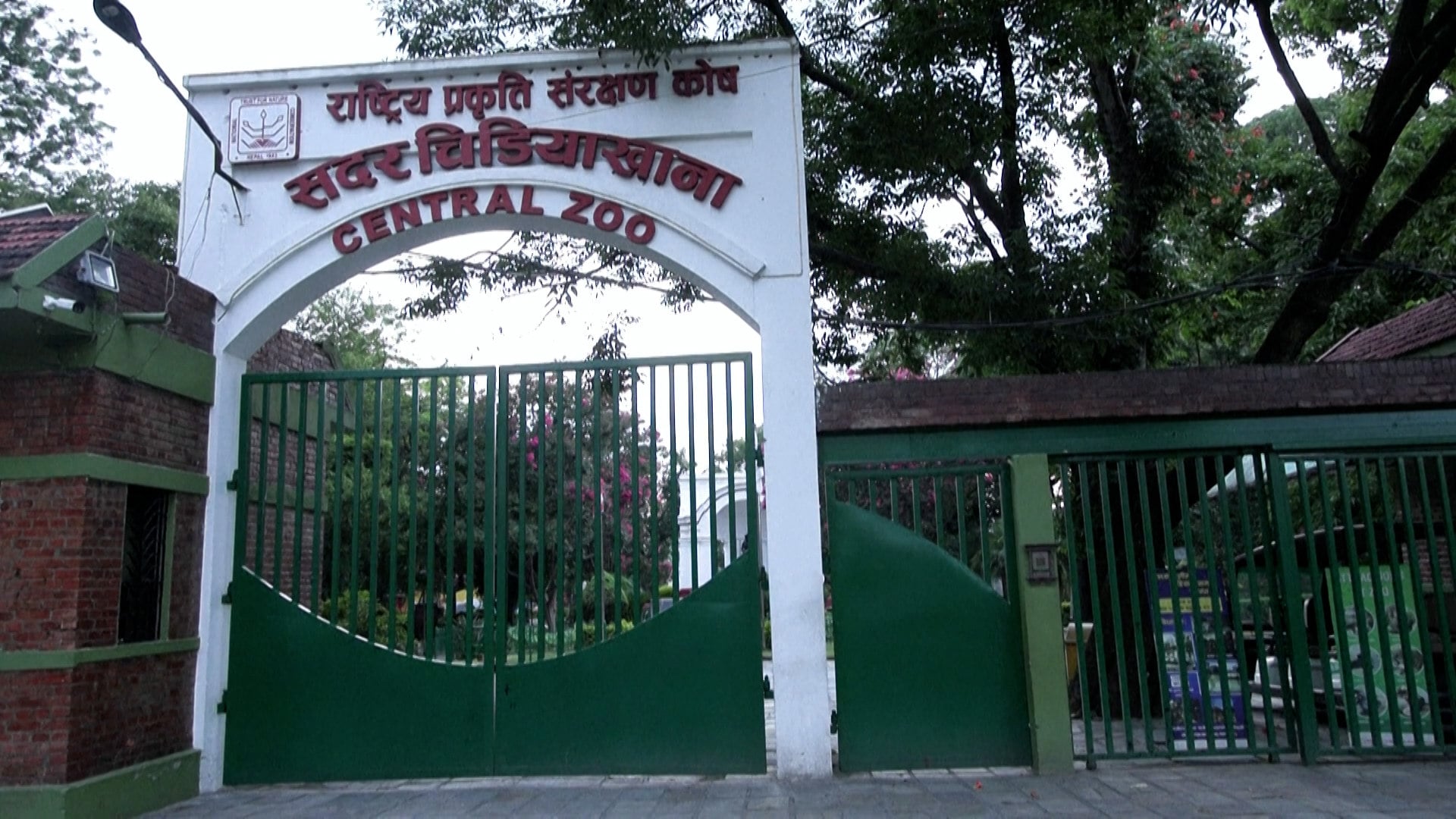 Web thumbnail for Bird flu outbreak in Nepal closes nation’s only zoo