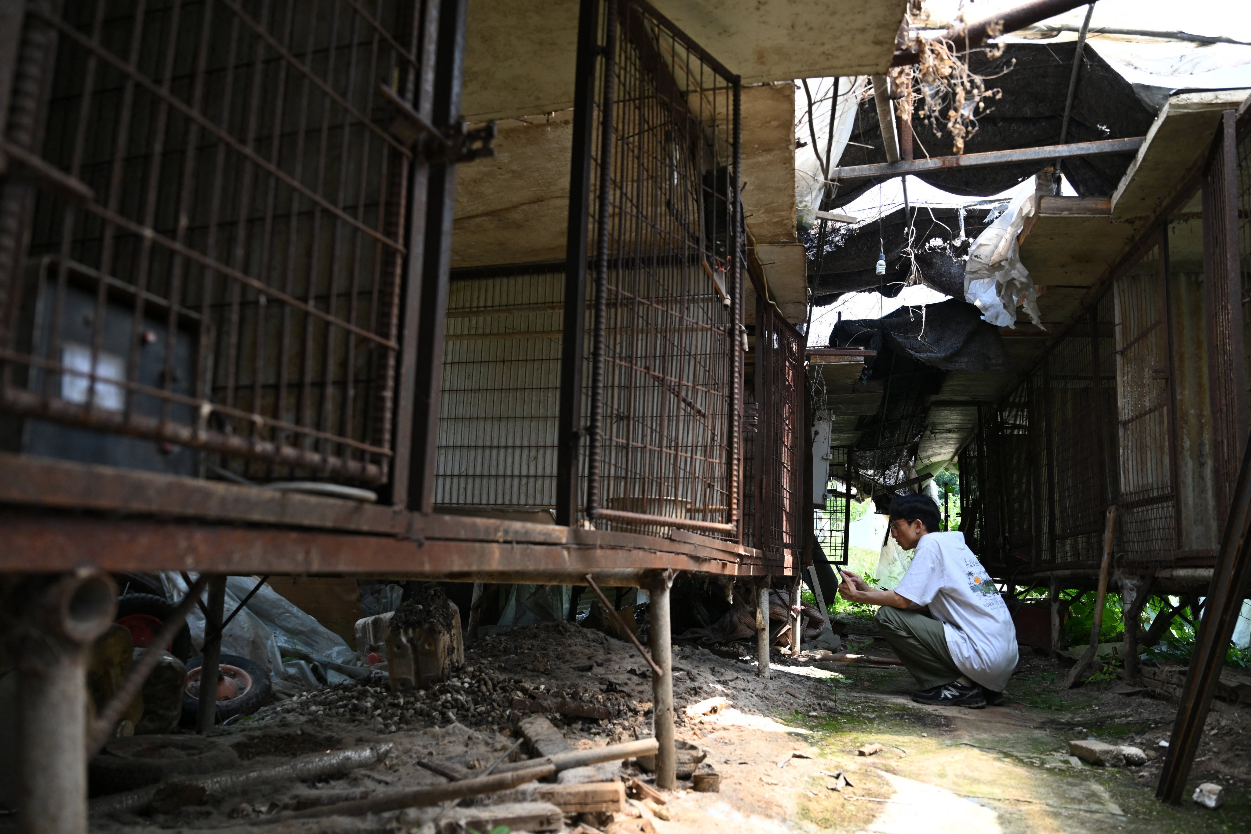 This picture taken on June 11, 2026 shows an animal rights activist checking empty cages at an abandoned dog slaughter facility in Pyeongtaek. Electric prods rest against the wall near rusty cages containing dog skulls in an abandoned canine slaughterhouse in a South Korean town. The deserted site in Pyeongtaek, south of Seoul, offers a glimpse into an industry rapidly disappearing as South Korea’s landmark dog meat ban enters into force next year. (Photo by Jung Yeon-je / AFP) / To go with ‘SKOREA-FOOD-LAW-ANIMAL, REPORTAGE’ by Jihye SHIN