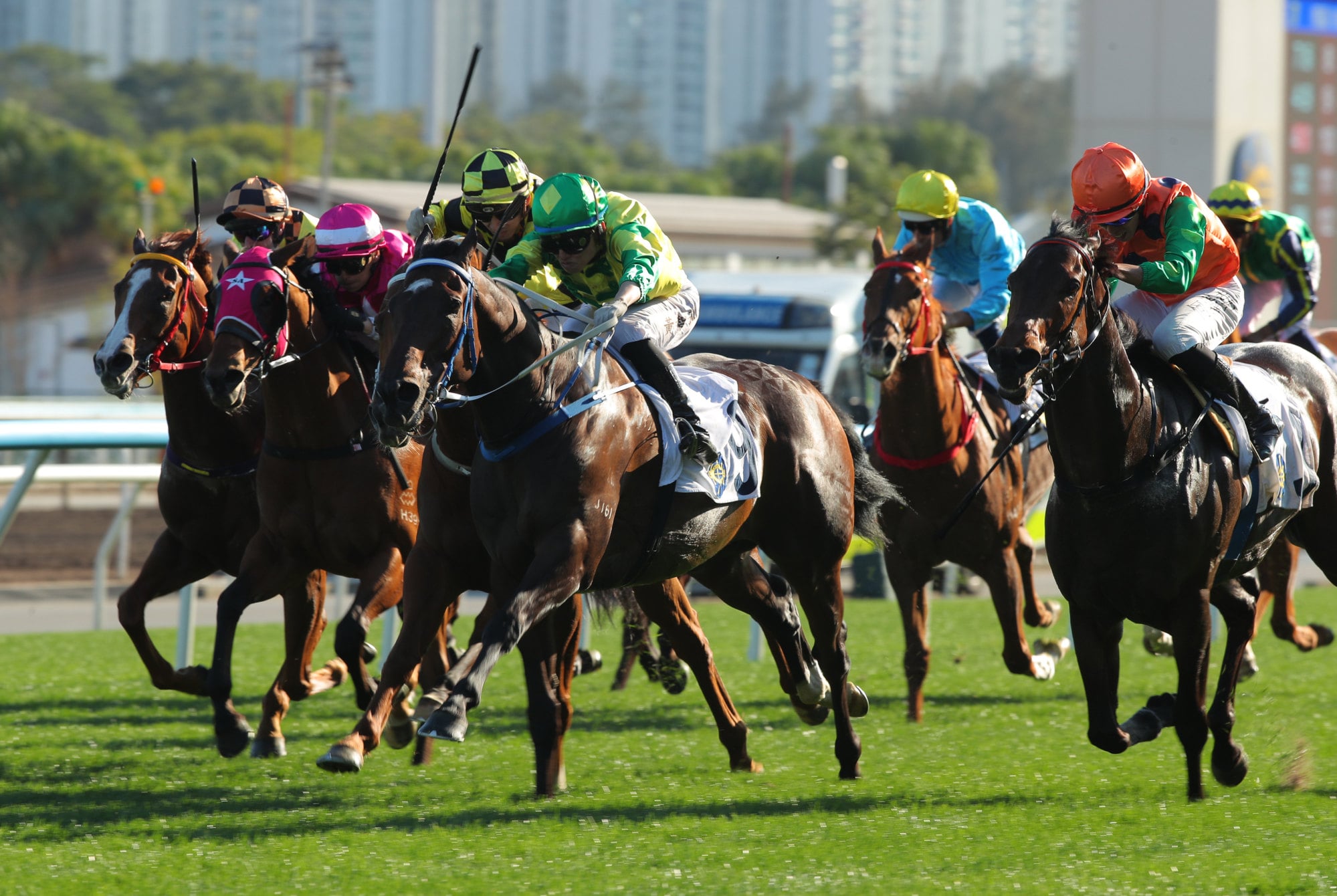 Sky Trust (middle) wins at Sha Tin in February. Sky Trust (middle) wins at Sha Tin in February.