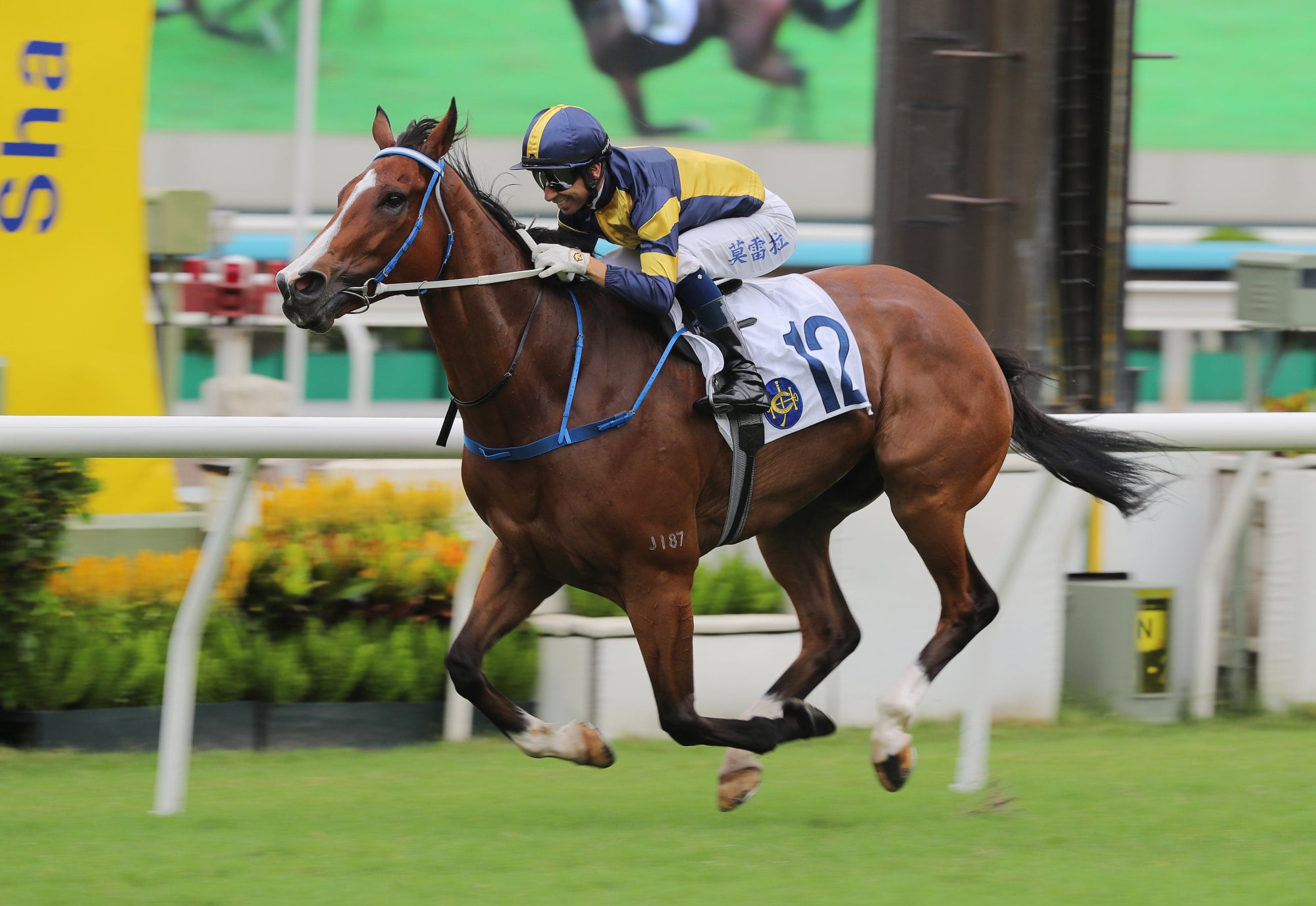 Verbier decimates his rivals at Sha Tin last week. Verbier decimates his rivals at Sha Tin last week.