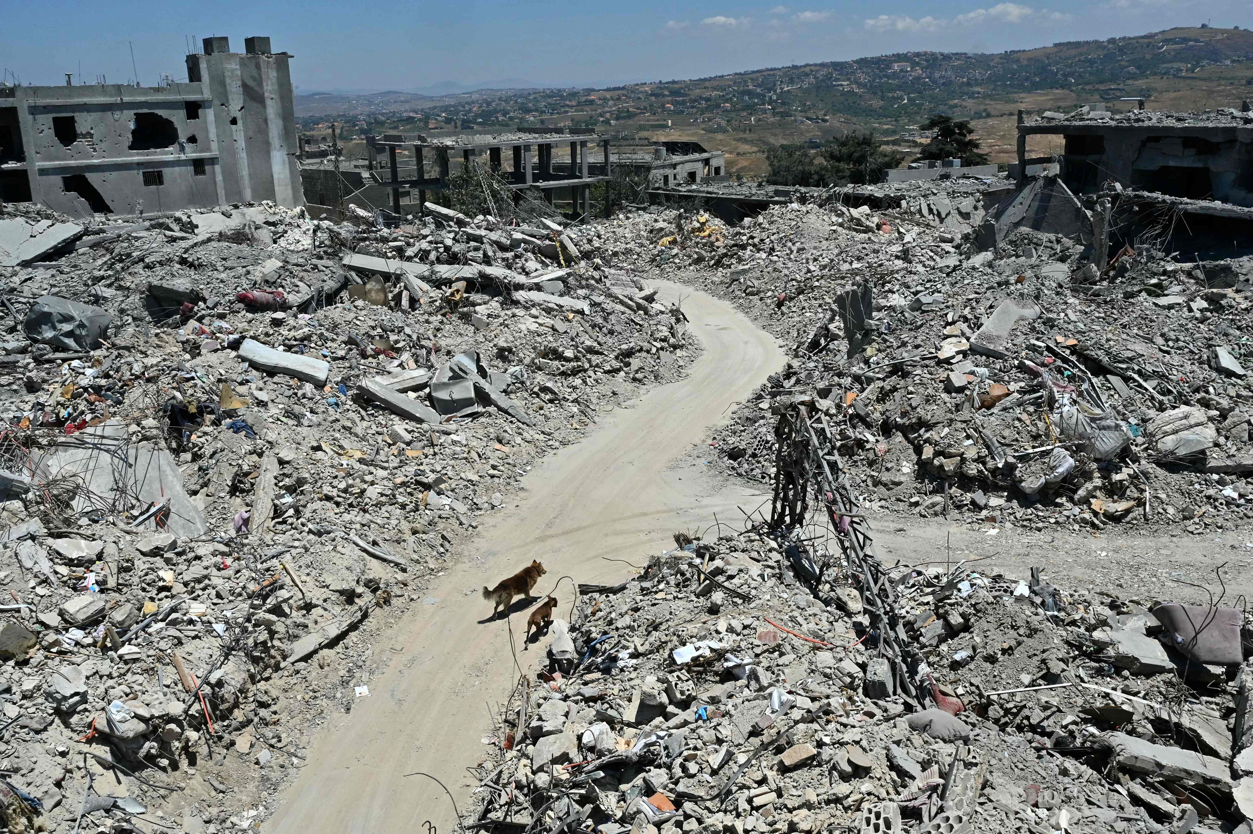Stray dogs walk past the rubble of flattened homes and businesses, destroyed by the Israeli military, in the southern Lebanese village of Tibnin on June 24. Photo: AFP