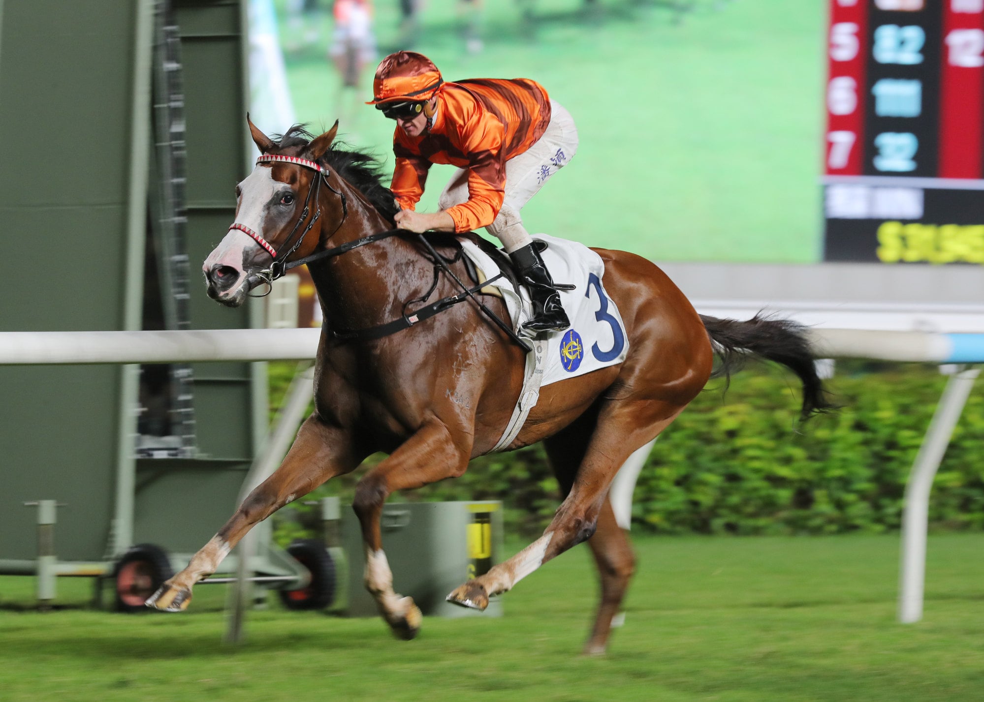 Lucrative Eight and Zac Purton score at Sha Tin. Lucrative Eight and Zac Purton score at Sha Tin.
