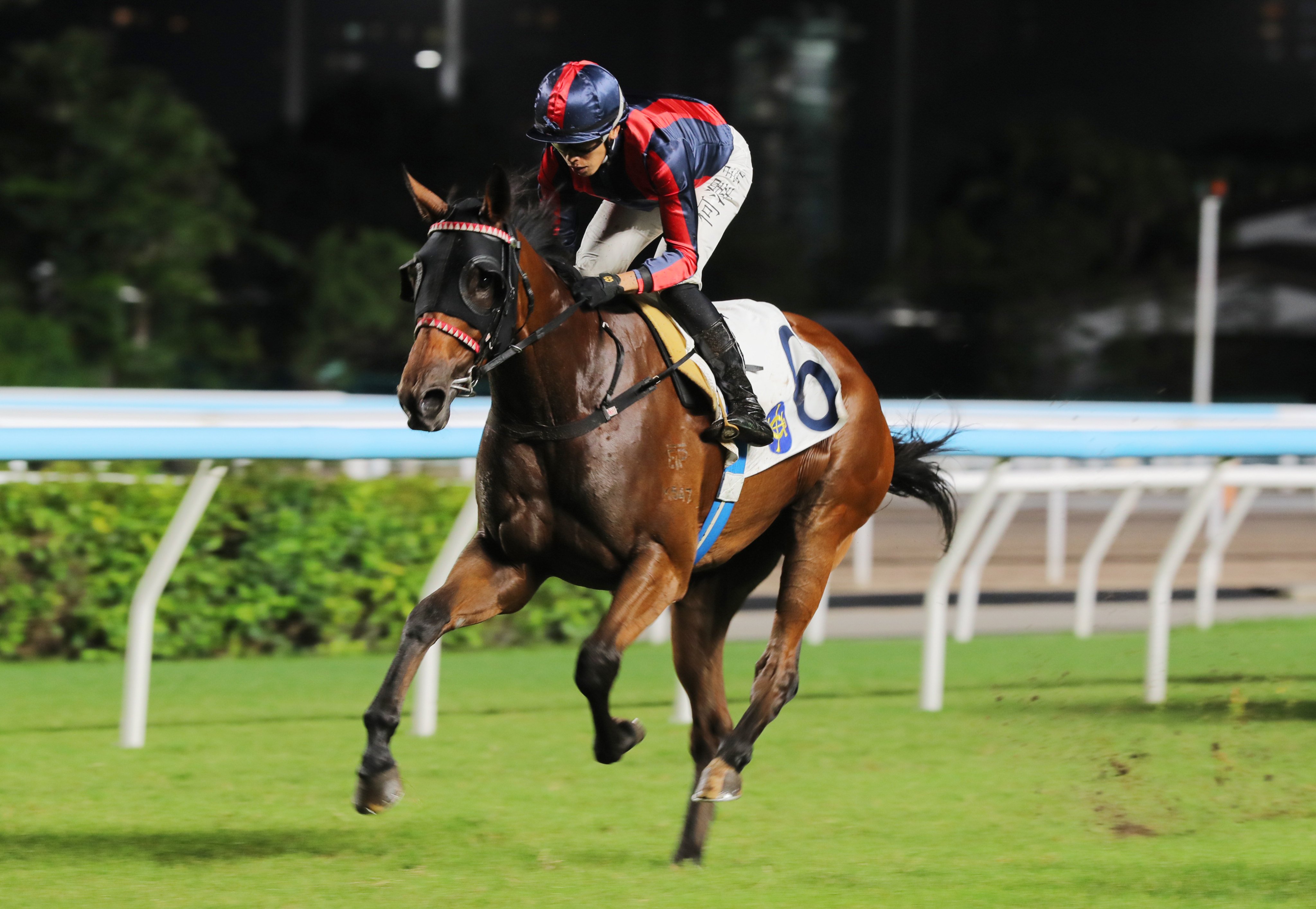 Victor Supreme, ridden by Vincent Ho, triumphs at Sha Tin. Photos: Kenneth Chan