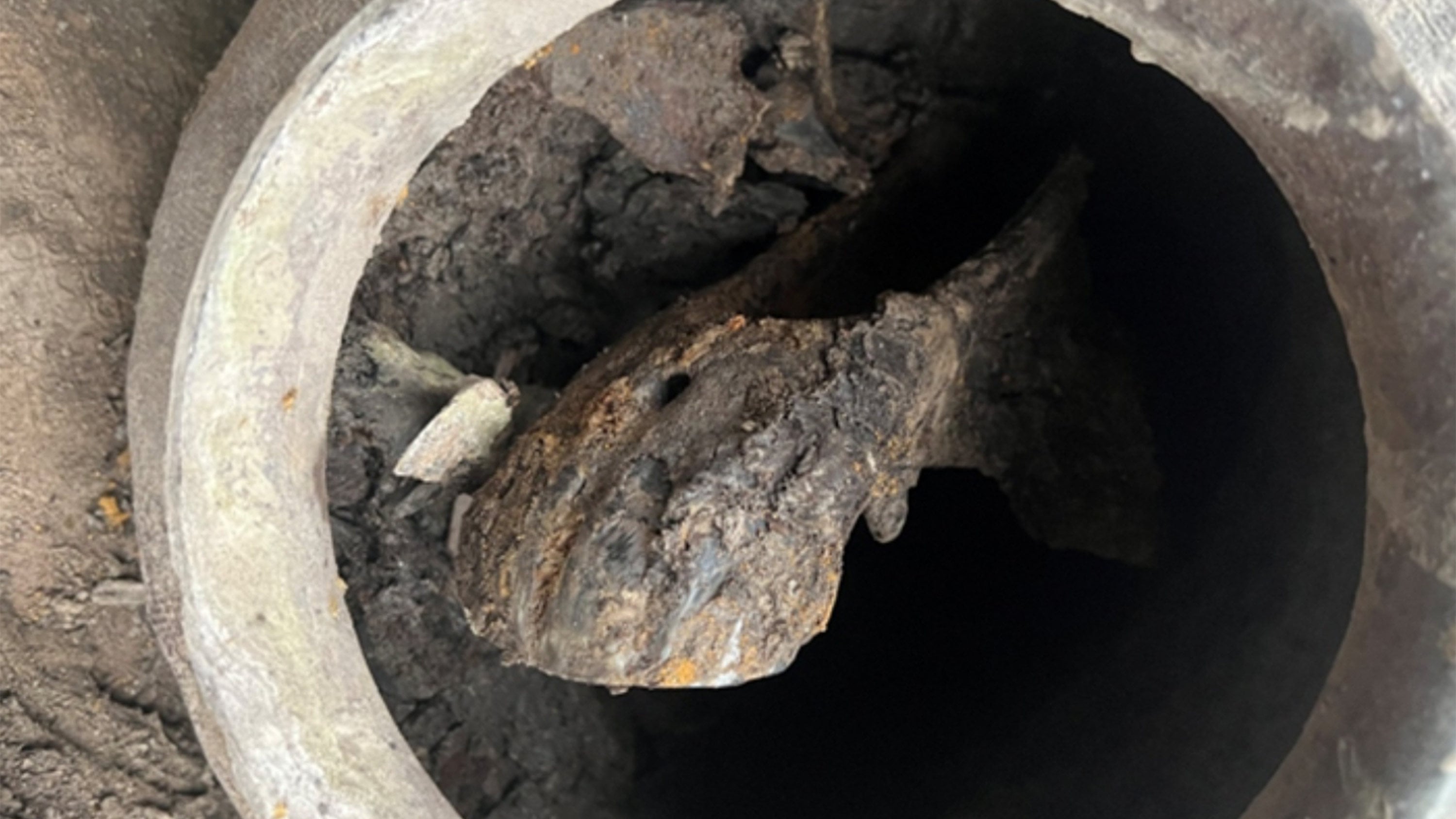 Archaeologists in Zhejiang have discovered a 2,800-year-old horse head sealed inside a pottery vessel at an Eastern Zhou dynasty ritual site. Photo: National Cultural Heritage Administration