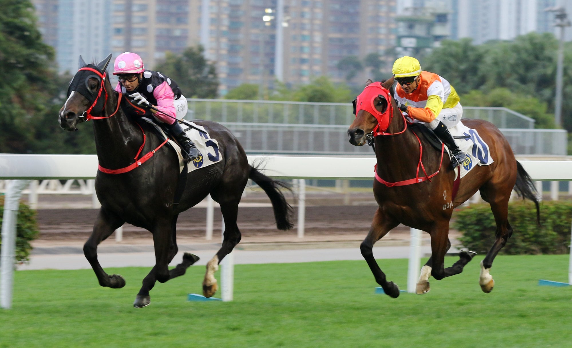 Beauty Legacy flies home to win at Sha Tin in 2020. Beauty Legacy flies home to win at Sha Tin in 2020.