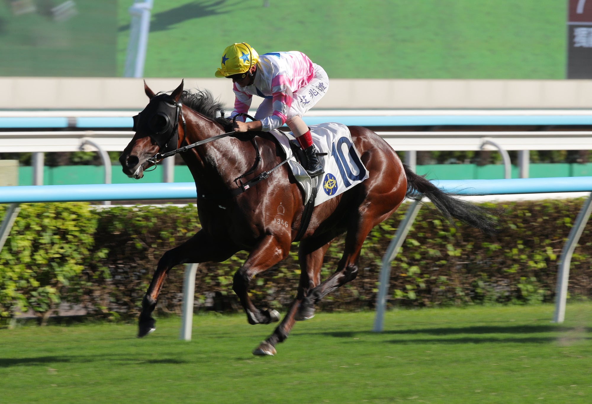 Jubilant Winner, ridden by Andrea Atzeni, triumphs at Sha Tin.