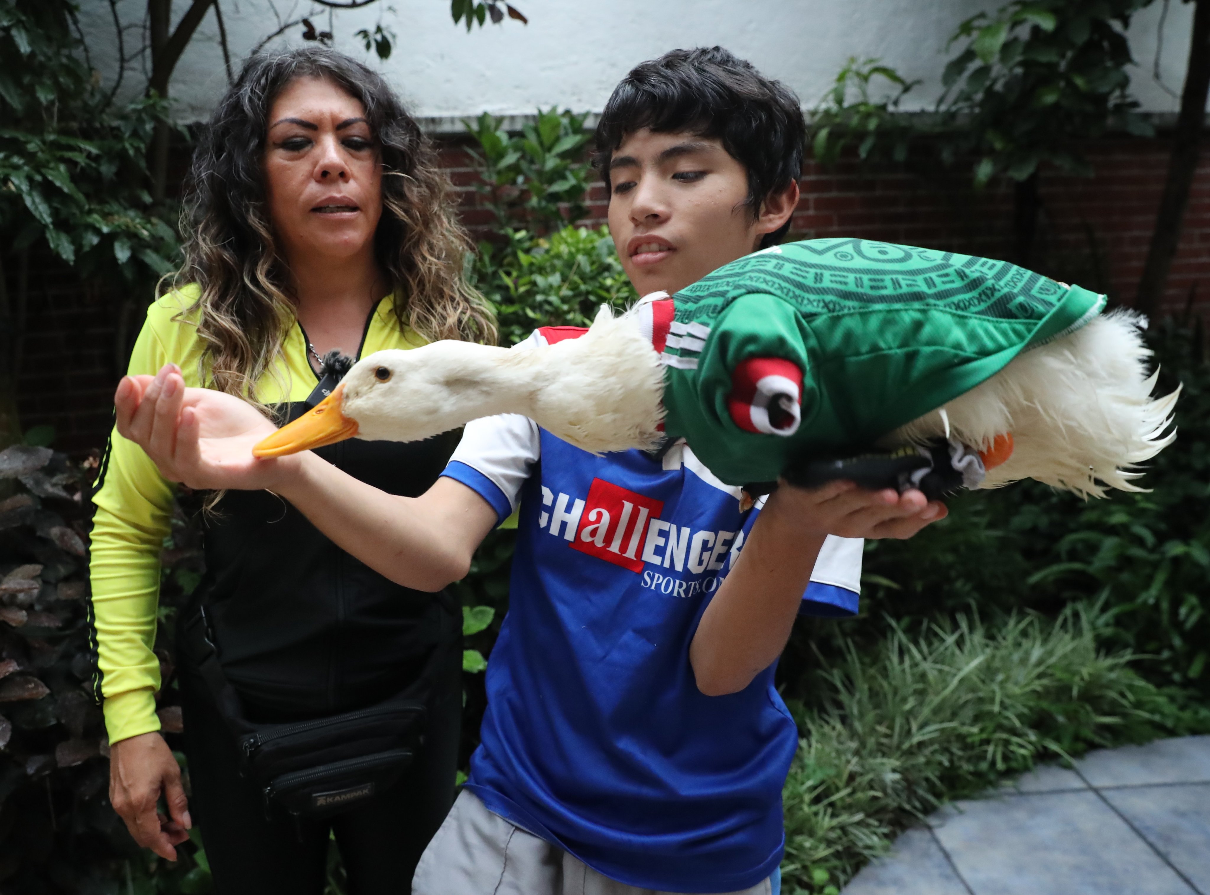Merlin the duck, Mexico’s unofficial World Cup mascot, charmed fans but was barred from stadiums due to Fifa’s animal regulations. Photo:  EPA