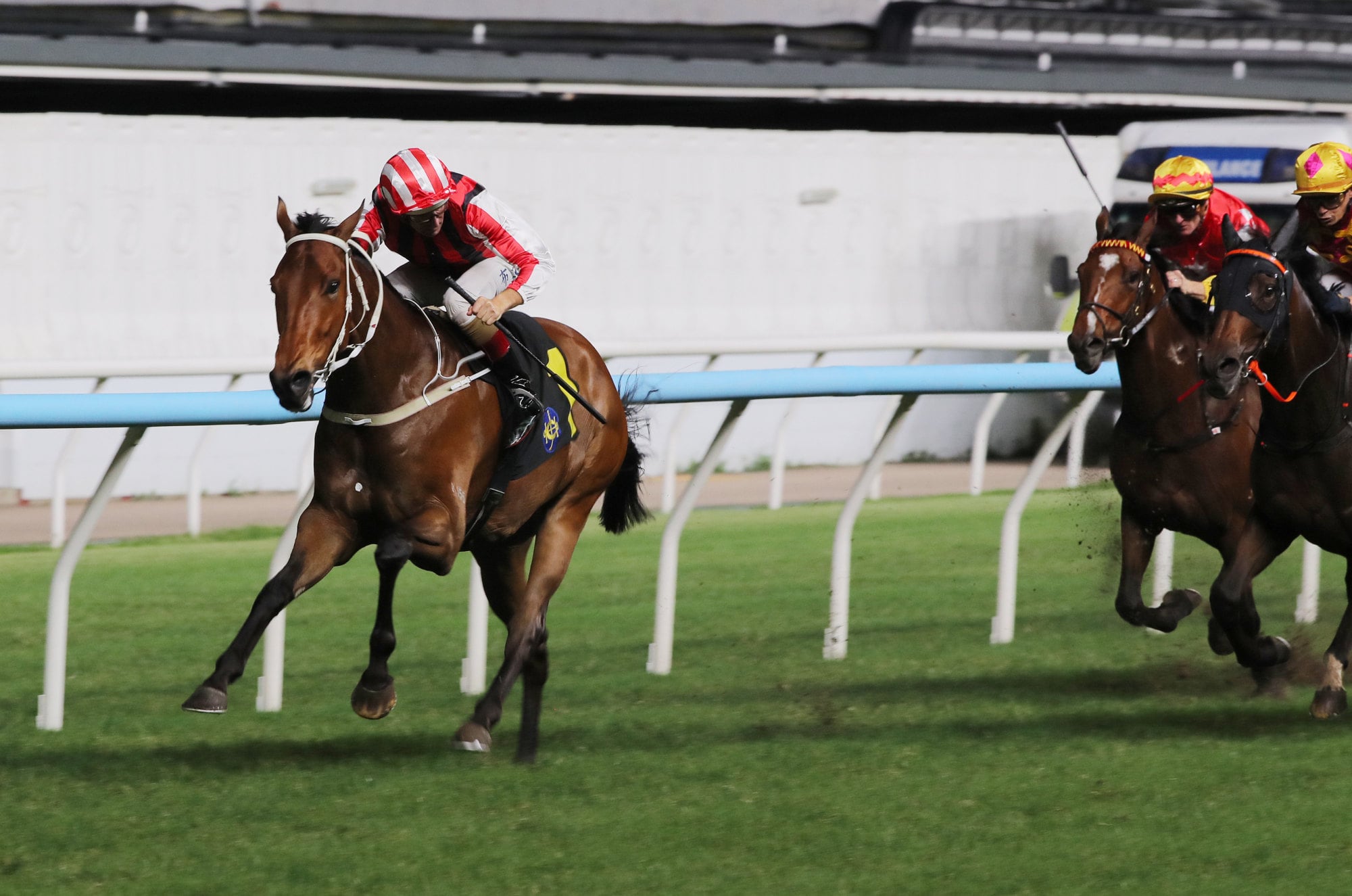 Liveandletlive and Hugh Bowman triumph at Happy Valley. Liveandletlive and Hugh Bowman triumph at Happy Valley.