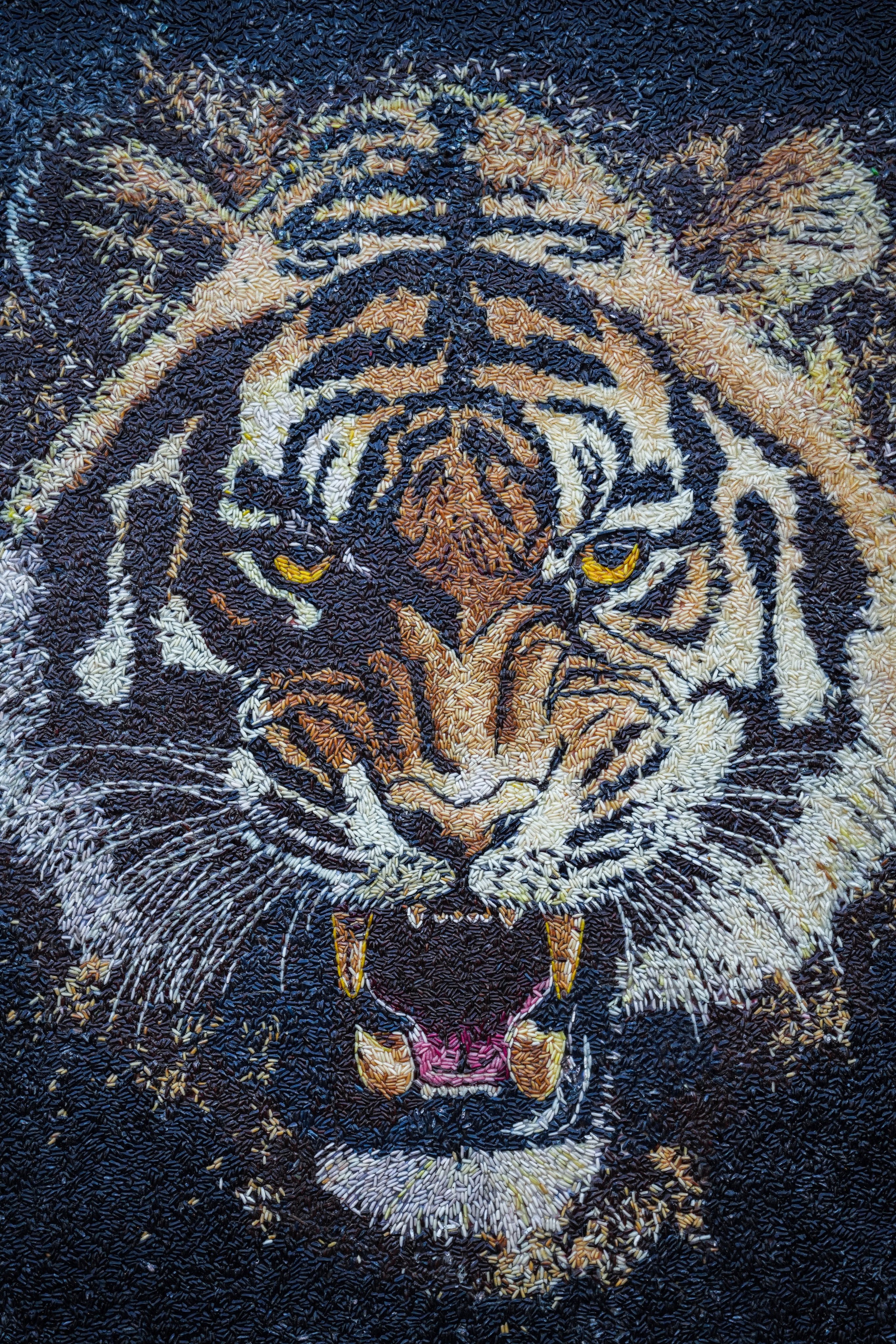 A tiger’s head made out of rice by Tom Kim Eng a Cambodian artist also known as Aisha who creates art from rice grains. Photo: Reuters