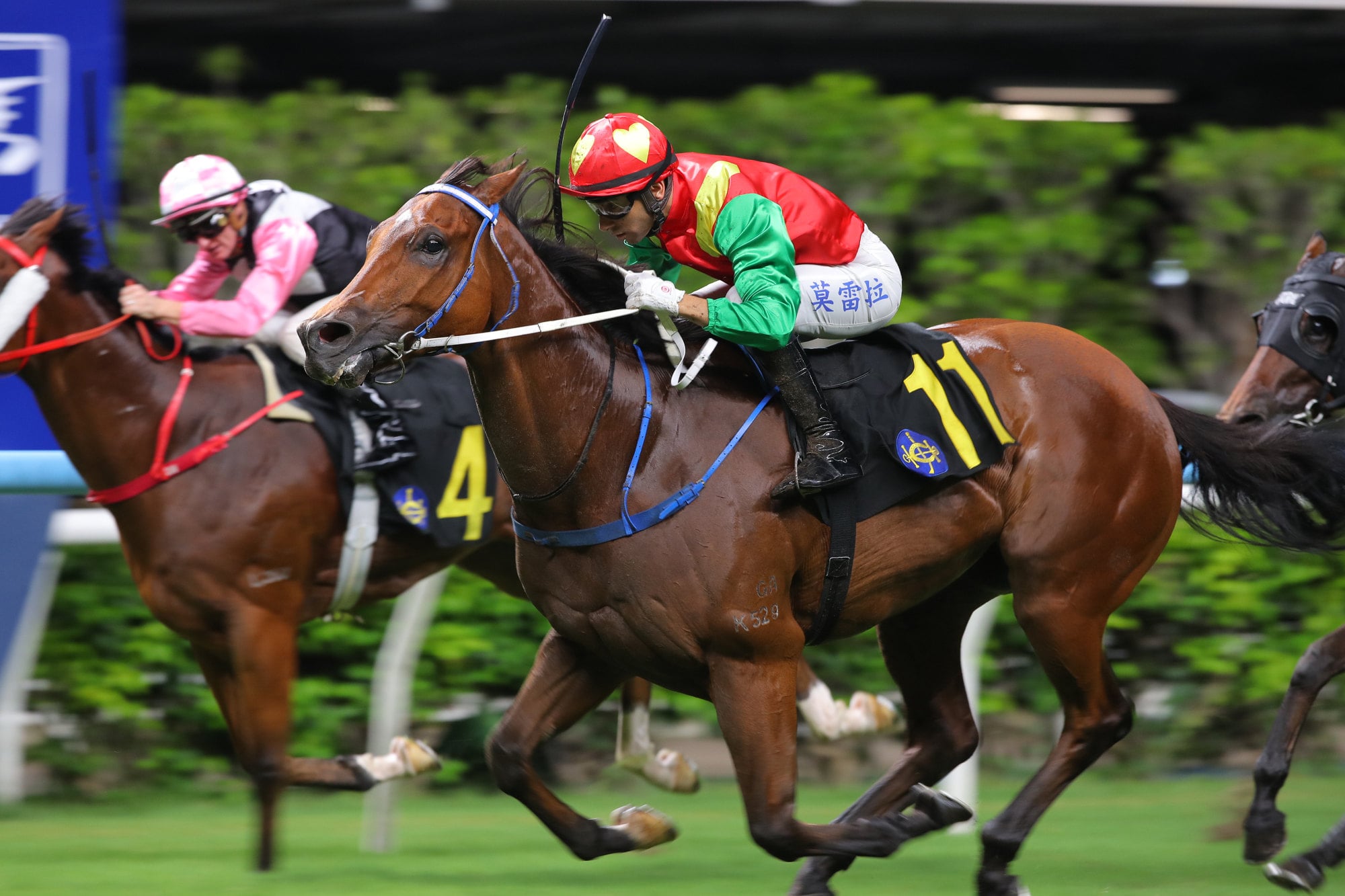 Jumbo Blessing, driven by Joao Moreira, closes Happy Valley. Jumbo Blessing, driven by Joao Moreira, closes Happy Valley.