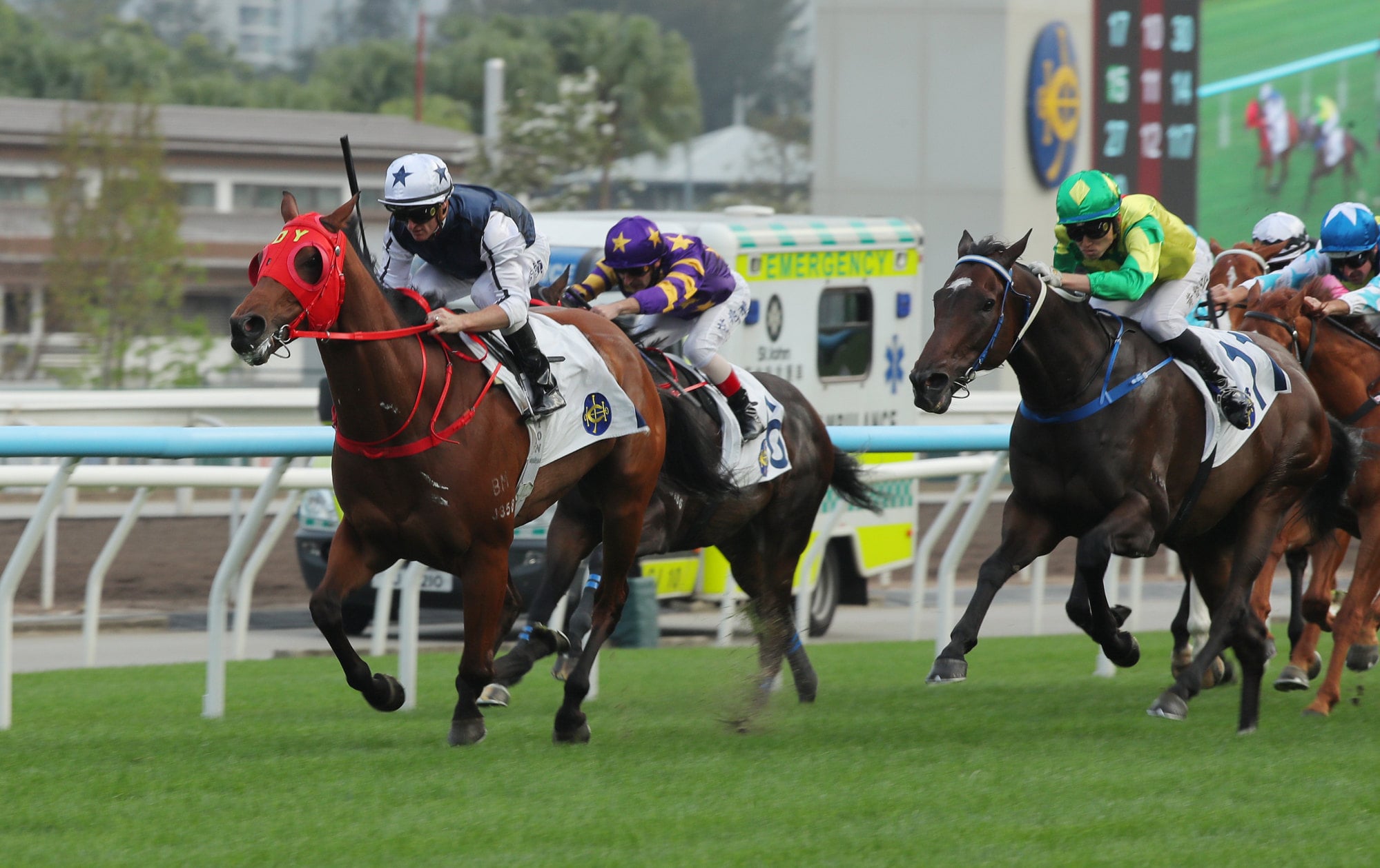 Fast Network wins snugly at Sha Tin. Fast Network wins snugly at Sha Tin.