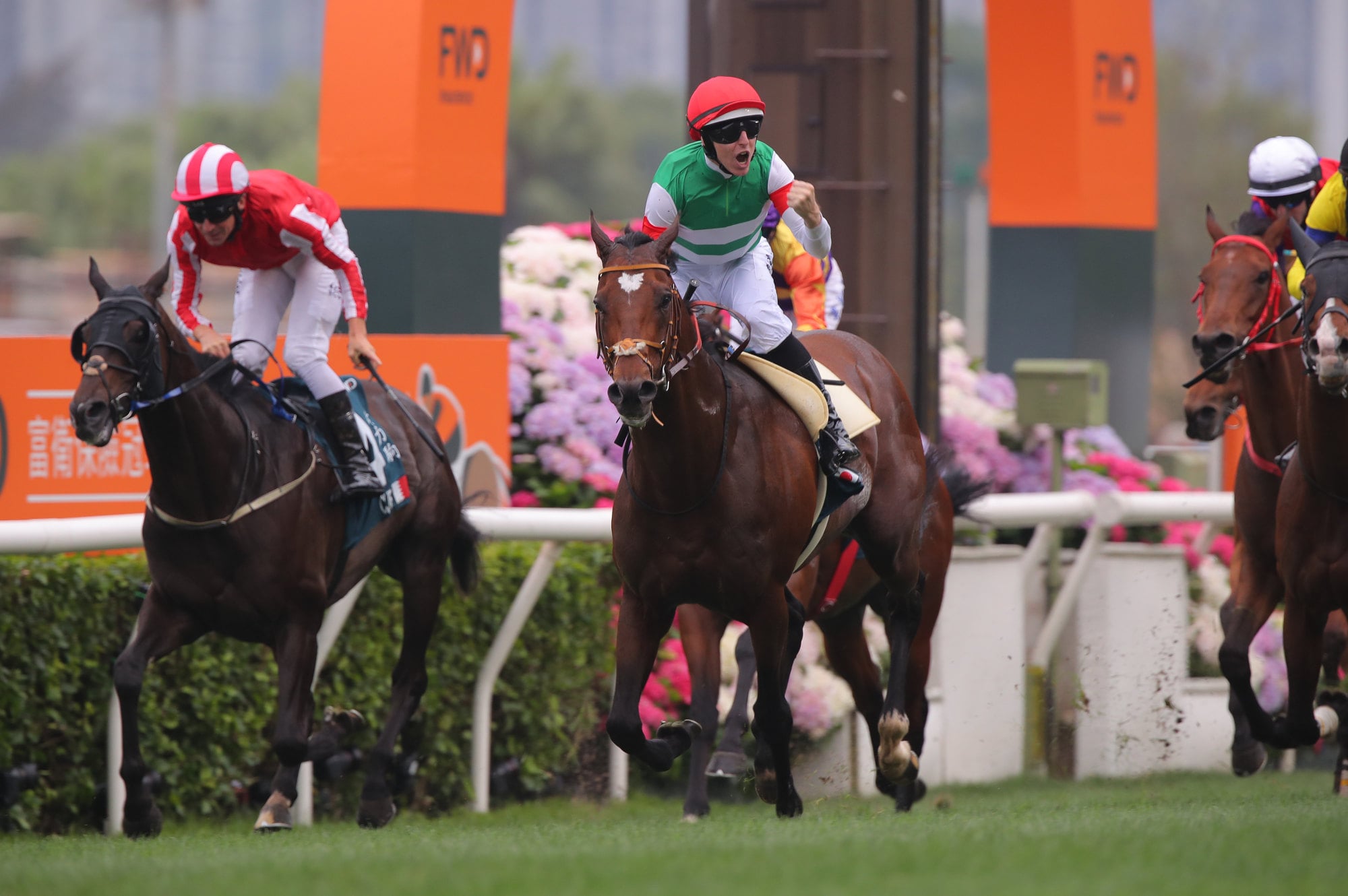 Damian Lane wins the 2025 Group One QEII Cup at Sha Tin on Tastiera for Japan. Damian Lane wins the 2025 Group One QEII Cup at Sha Tin on Tastiera for Japan.