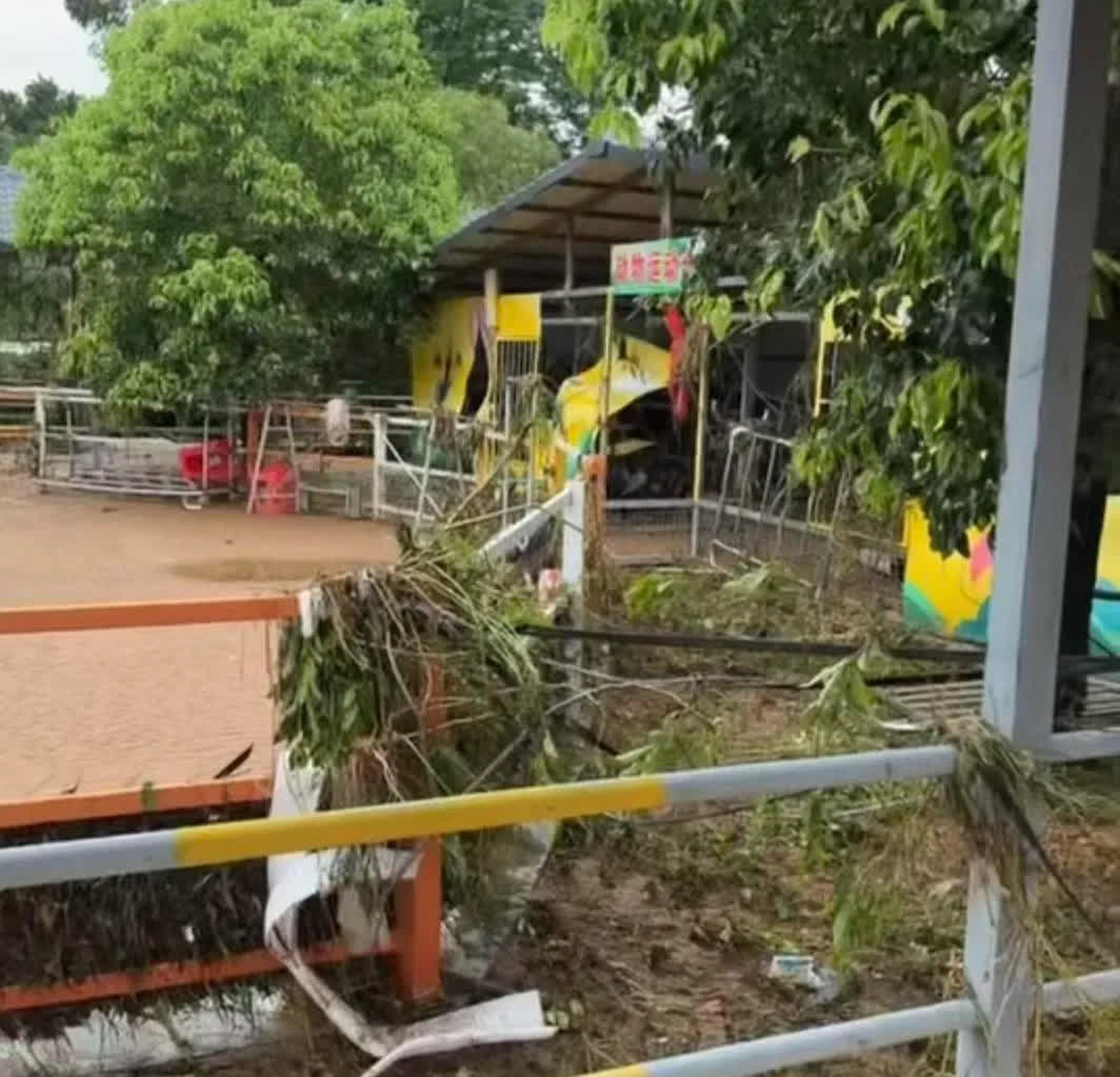 The flooded Guigang Zoo in southern China, from where multiple animals have escaped. Photo: Handout
