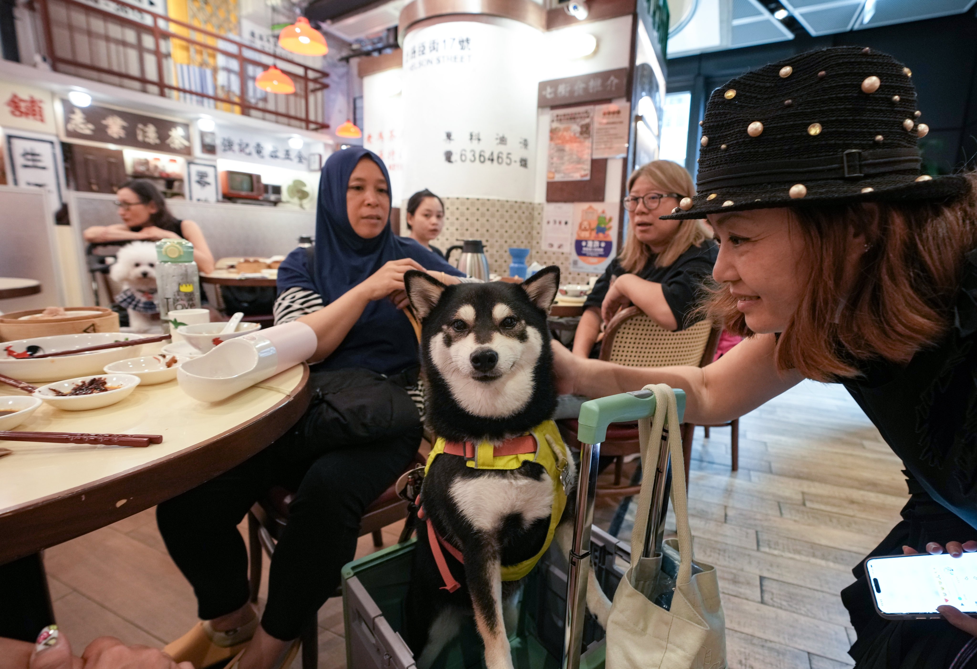 A family enjoys dim sum with their dog at Old Fung Tea House. Photo: Sam Tsang