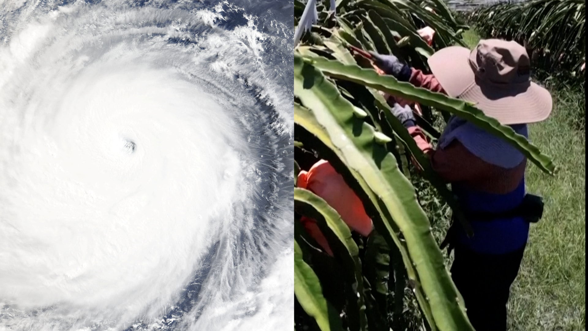 Taiwan braces for Typhoon Bavi