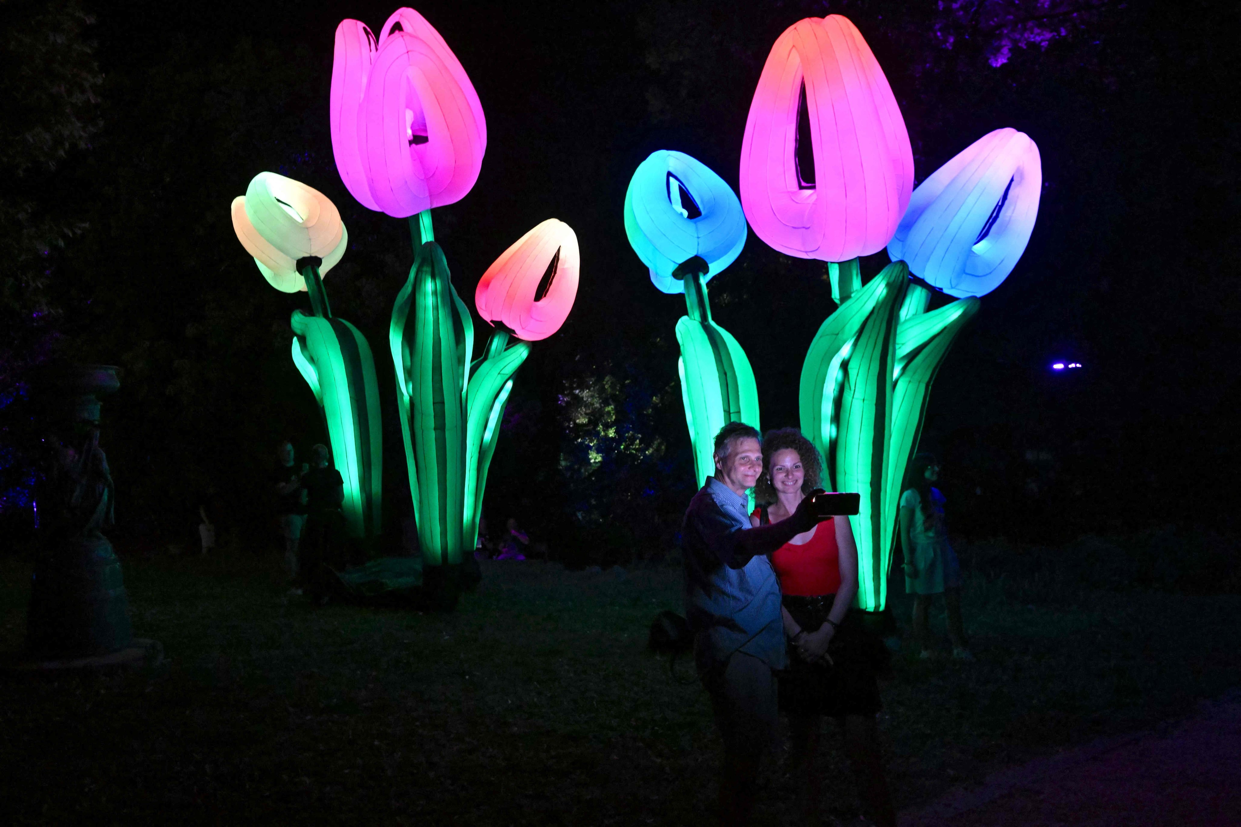 This week, one reader considers living in the present, soaking in the moment like tulips in the sun. Photo: AFP