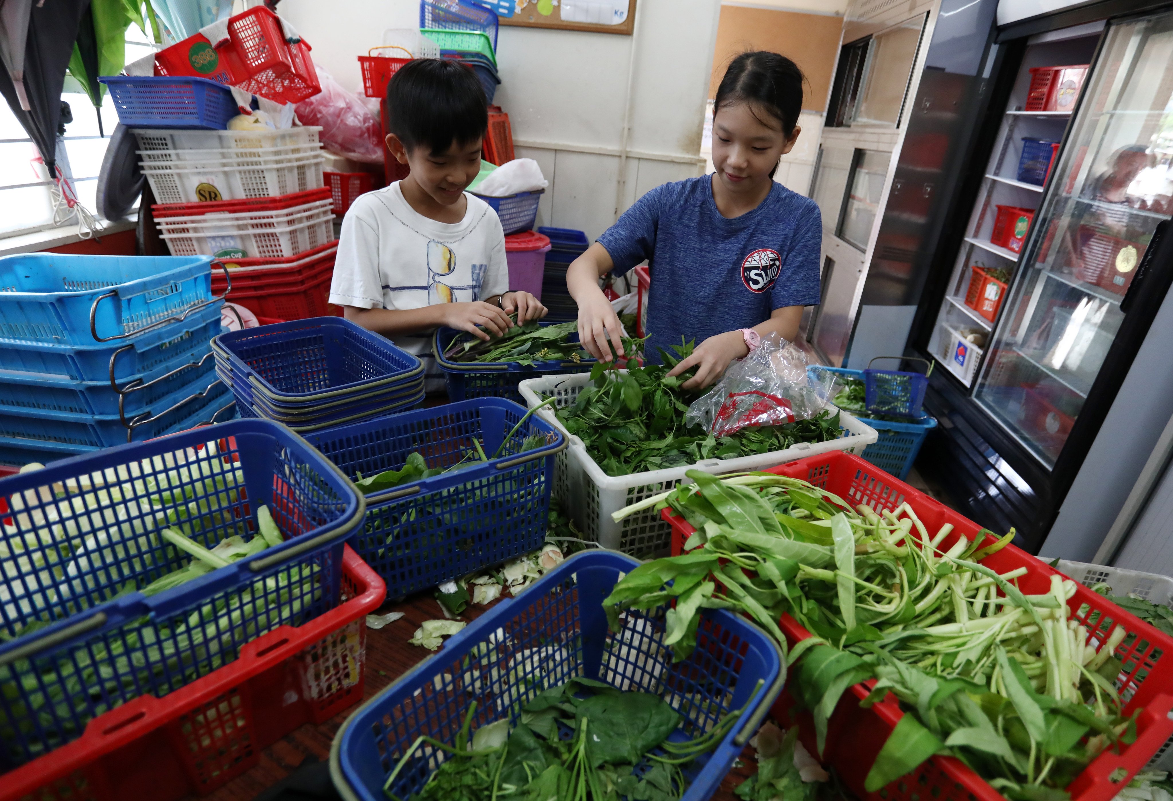 Children volunteer to collect vegetables in Tai Po, for their food recycling scheme, on August 30, 2019. Photo: Jonathan Wong