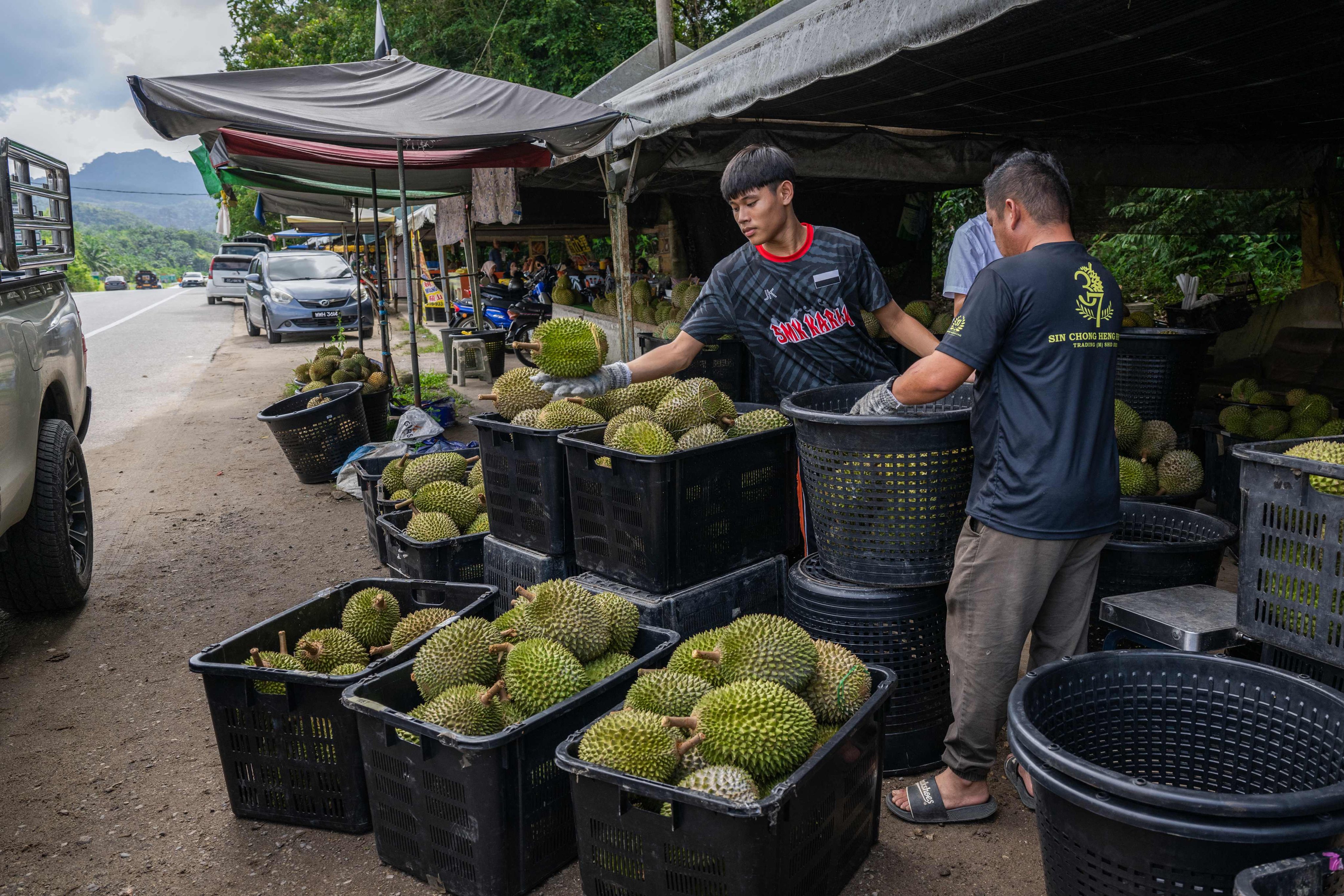 Vendors sort durians at a roadside stall in Karak, Malaysia’s Pahang state, last month. Photo: AFP