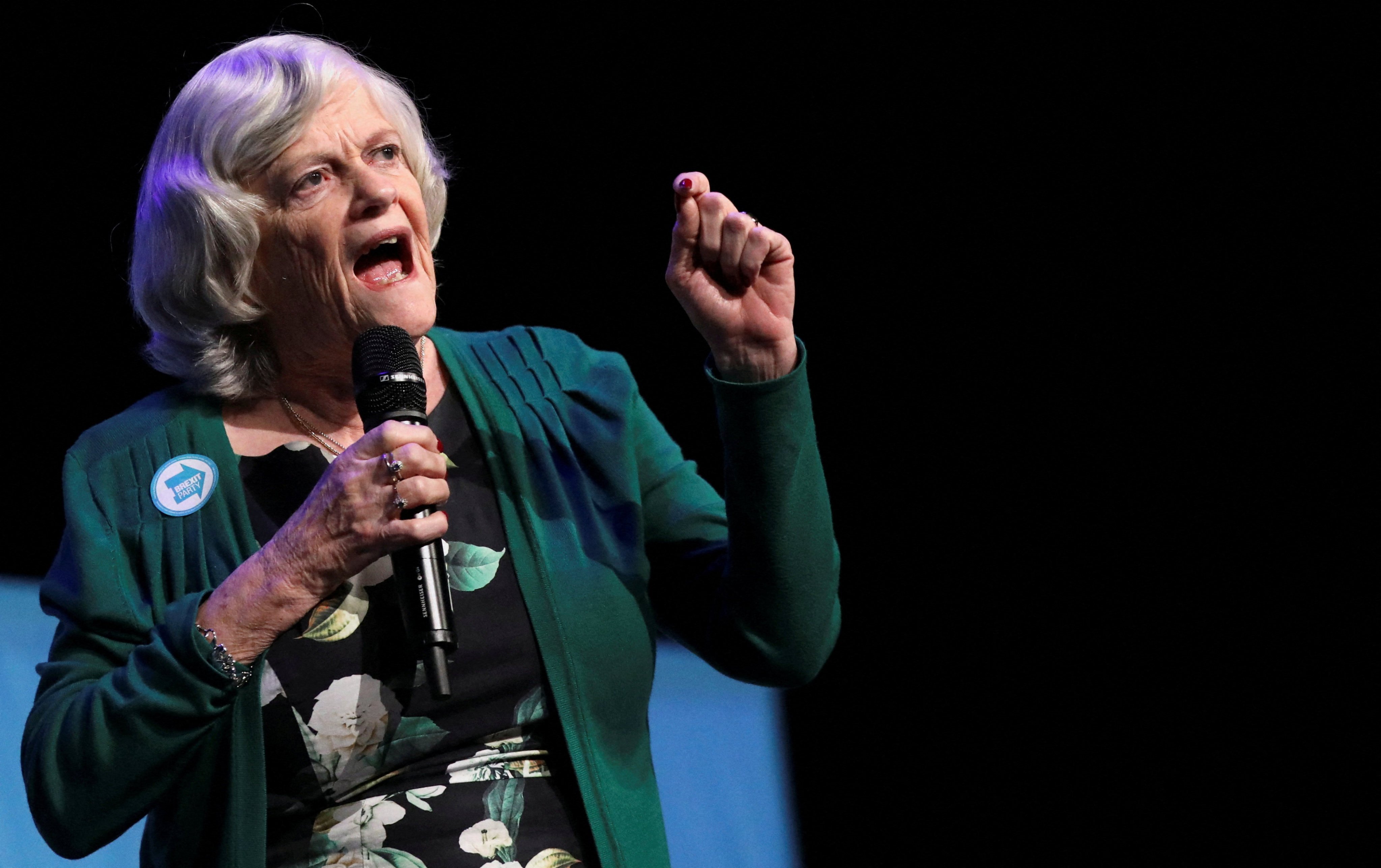Ann Widdecombe speaks during a Brexit Party rally in Peterborough, Britain, in May 2019. Photo: Reuters