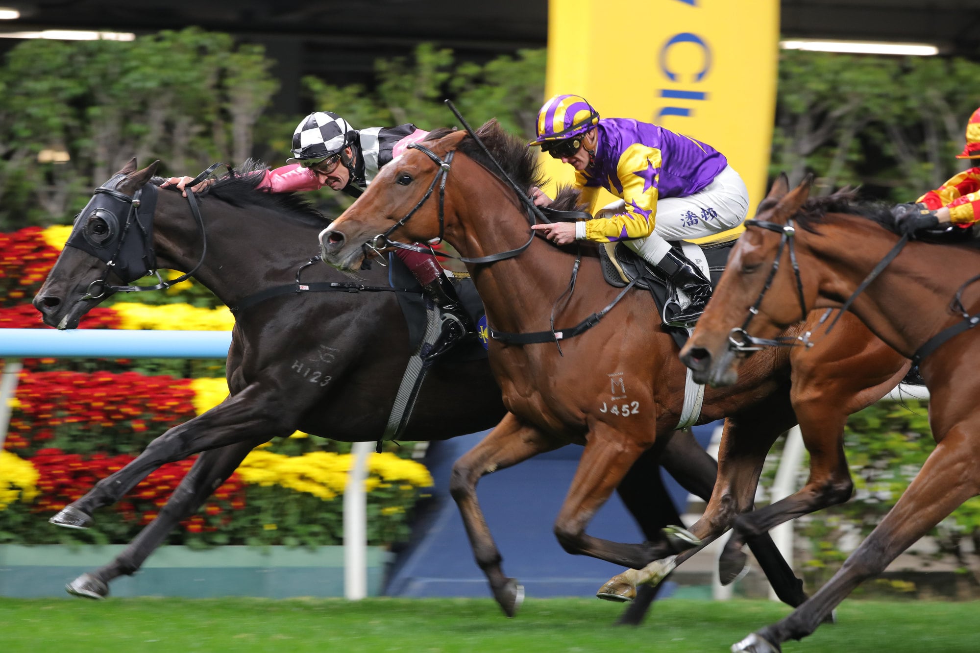 Beauty Missile (inside), ridden by Hugh Bowman, wins at Happy Valley. Beauty Missile (inside), ridden by Hugh Bowman, wins at Happy Valley.
