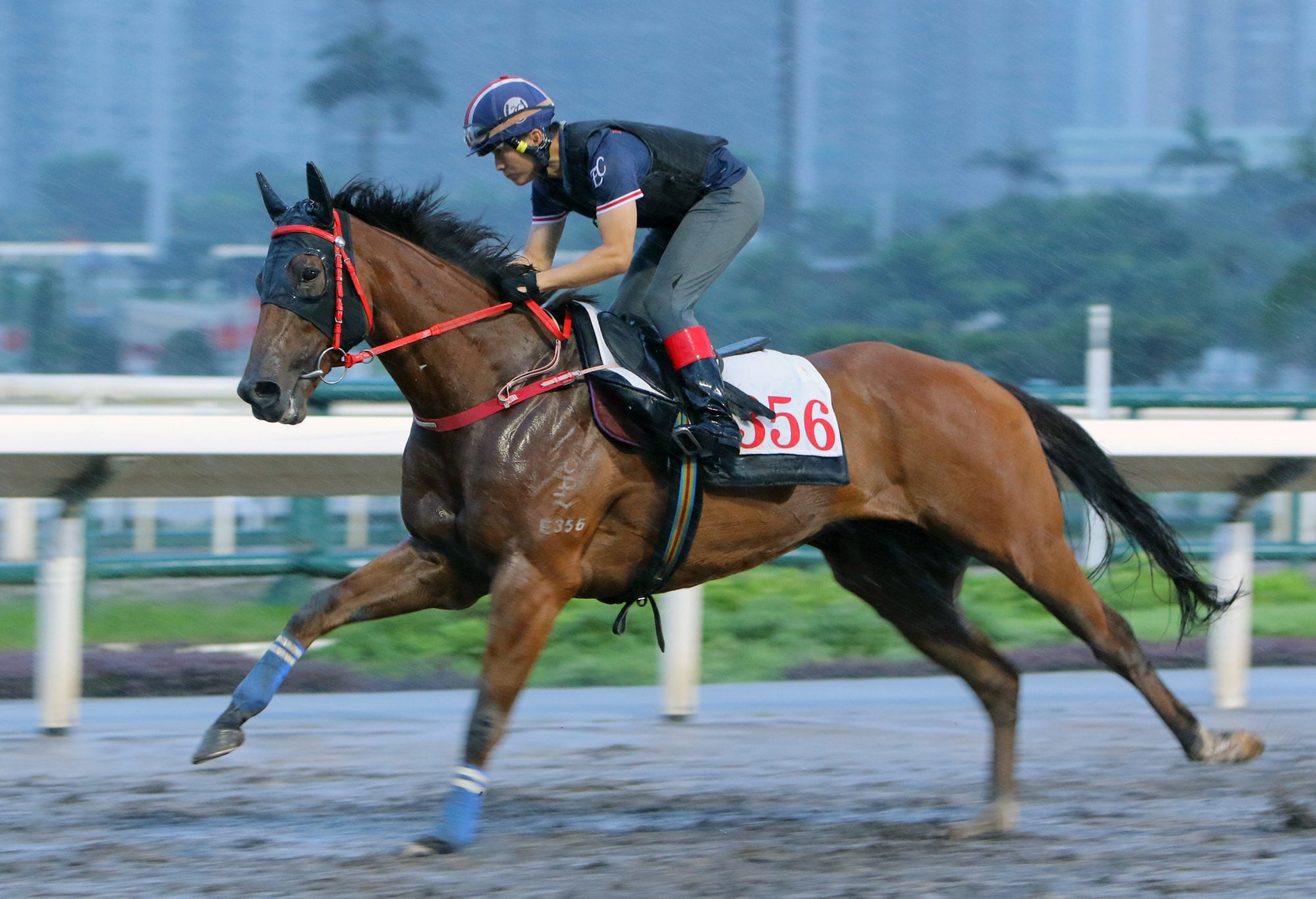 Lucky With You gallops on the all-weather track at Sha Tin. Lucky With You gallops on the all-weather track at Sha Tin.