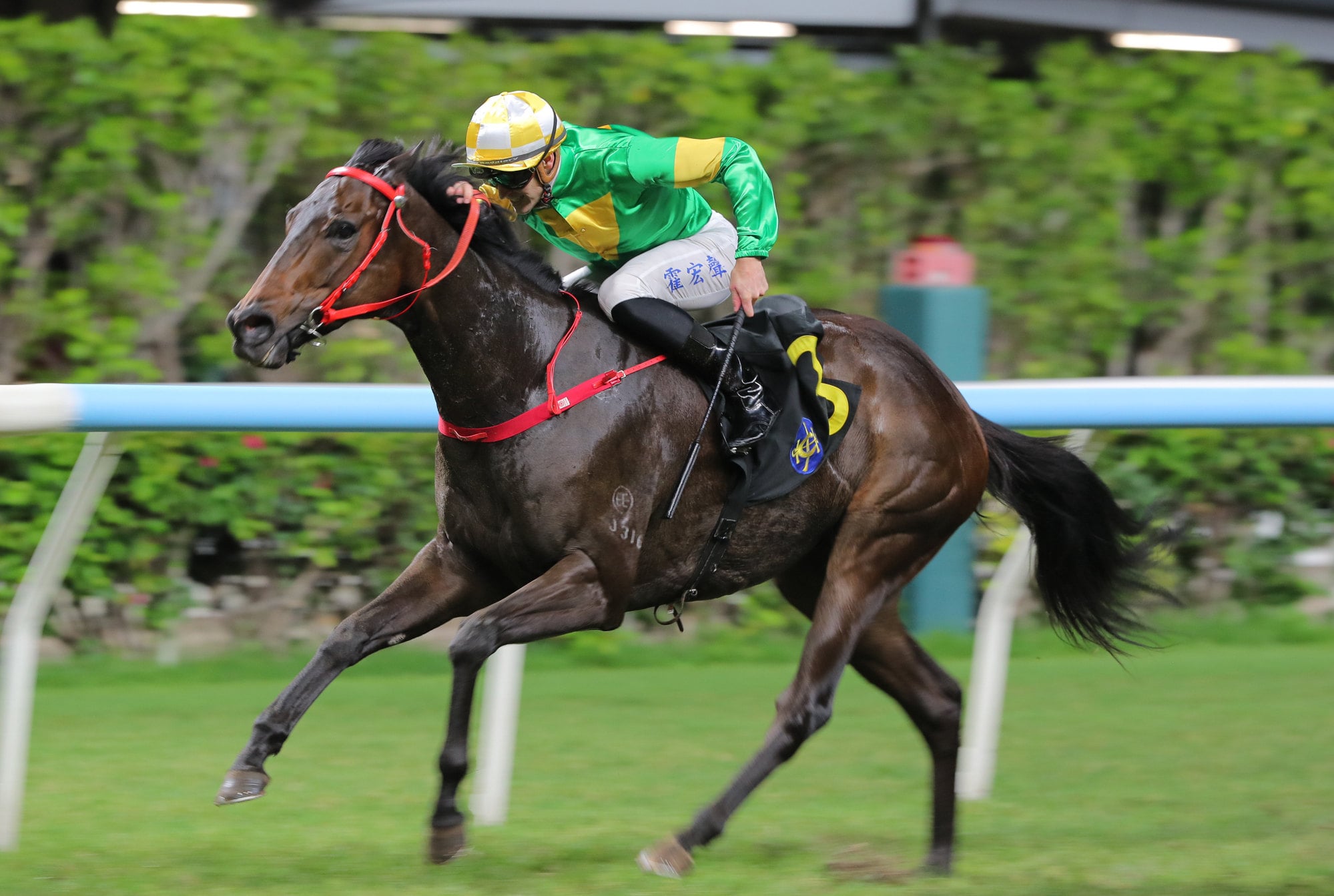Bottomuptogether, ridden by Luke Ferraris, wins at Happy Valley. Bottomuptogether, ridden by Luke Ferraris, wins at Happy Valley.
