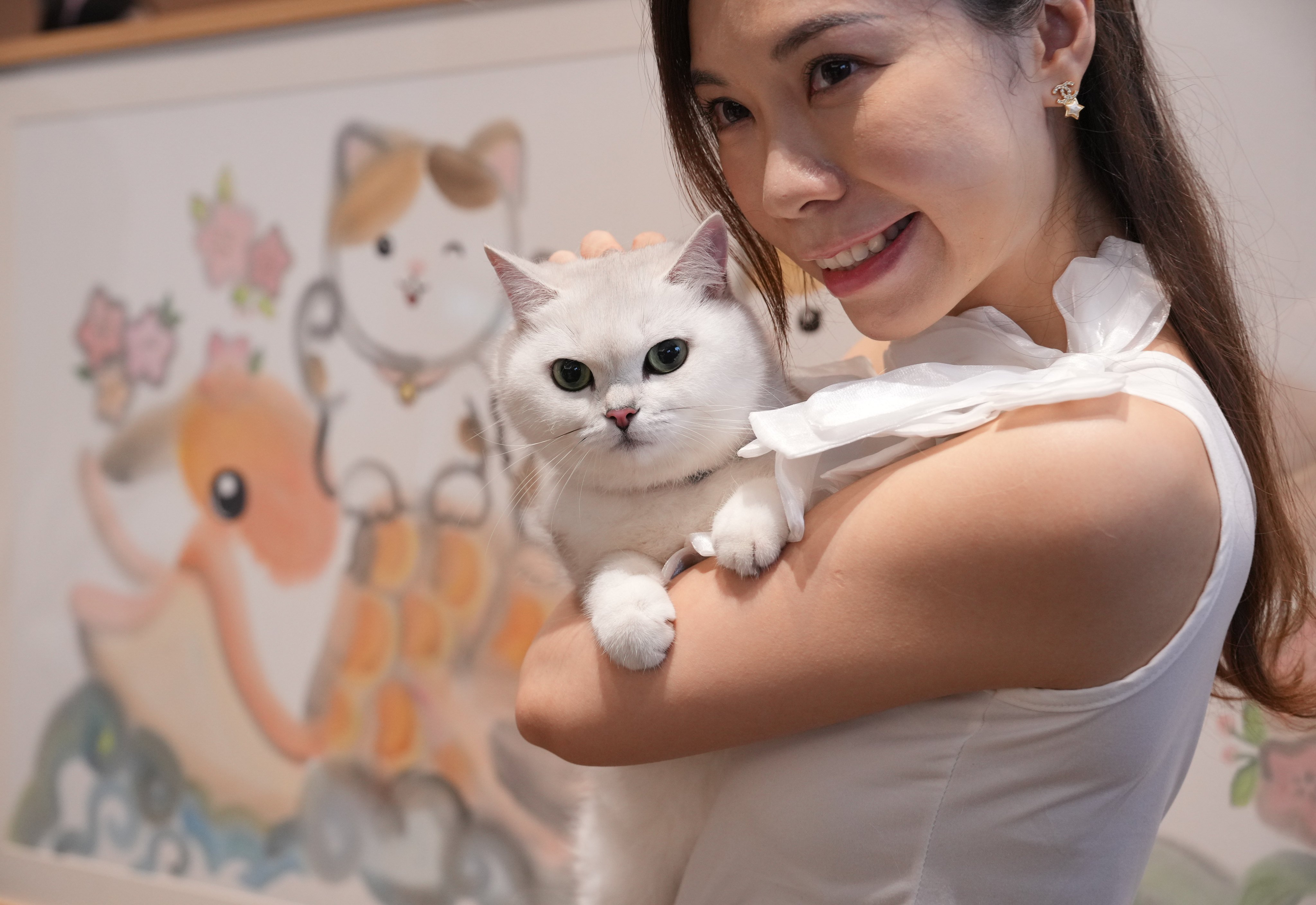 A five-year-old cat, Milk Milk, and its owner at the Hong Kong Cat Expo 2026 press conference. Photo: May Tse