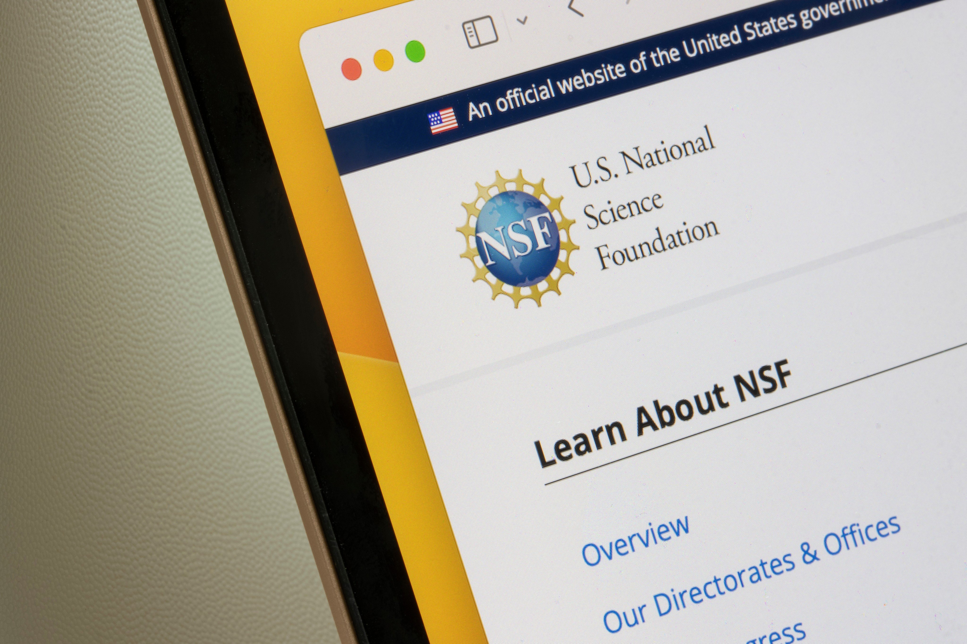 The US National Science Foundation is moving away from Chinese collaborators that have been flagged as restricted entities by the government. Photo: Shutterstock