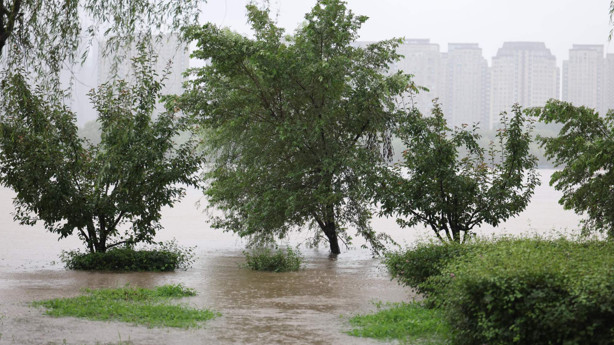 Trees are submerged in floodwaters by the Hunhe River in Shenyang after recent downpours. The water level at the Shenyang Hydrological Station on the Hunhe River reached 37.99 metres. Photo: Xinhua Trees are submerged in floodwaters by the Hunhe River in Shenyang after recent downpours. The water level at the Shenyang Hydrological Station on the Hunhe River reached 37.99 metres. Photo: Xinhua