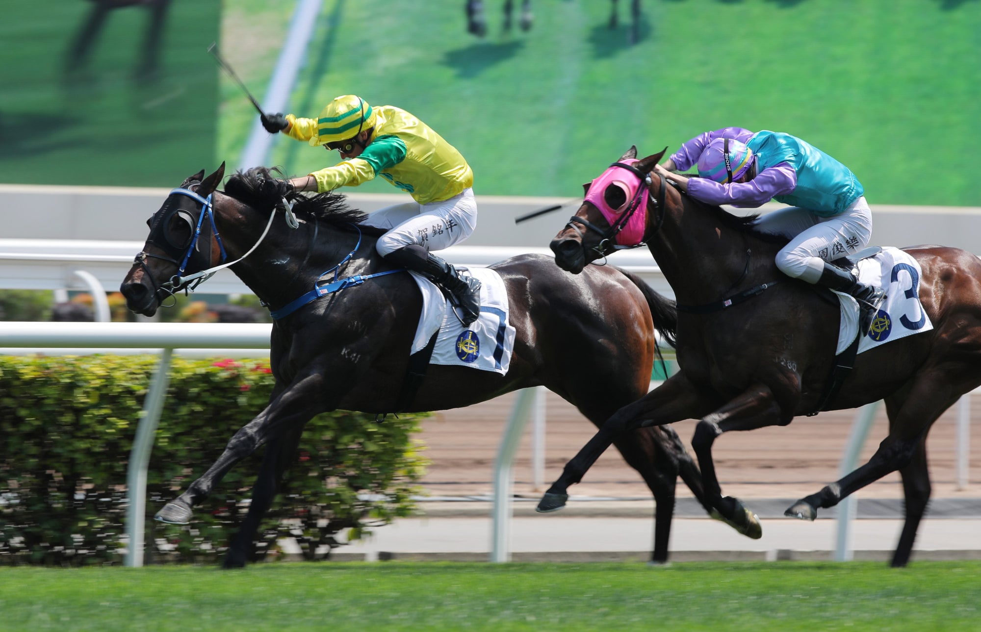 Sky Deep, ridden by Antoine Hamelin, wins at Sha Tin. Sky Deep, ridden by Antoine Hamelin, wins at Sha Tin.