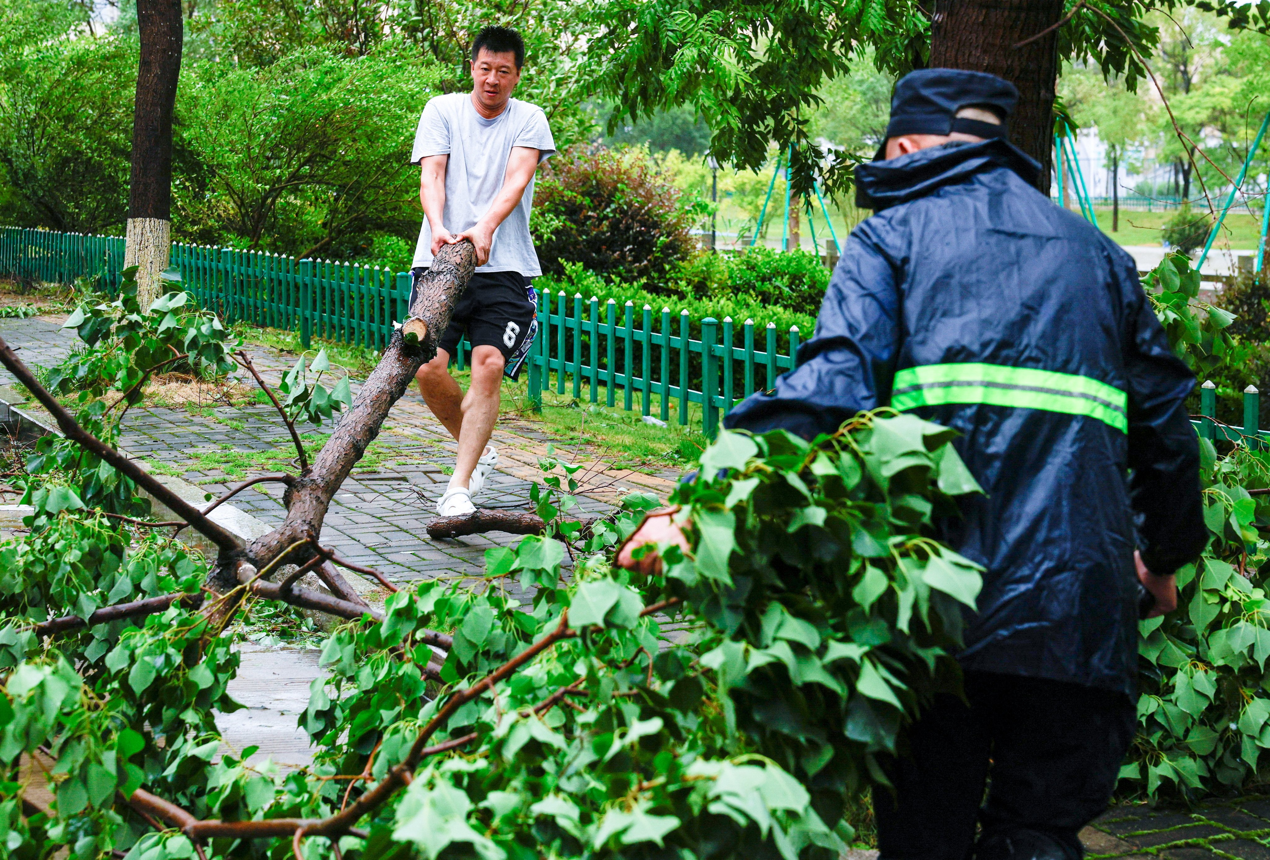 People drag a fallen tree to clear a road after heavy rain and strong winds brought by Typhoon Bavi in Wenzhou, Zhejiang province, on July 12. Photo: Reuters