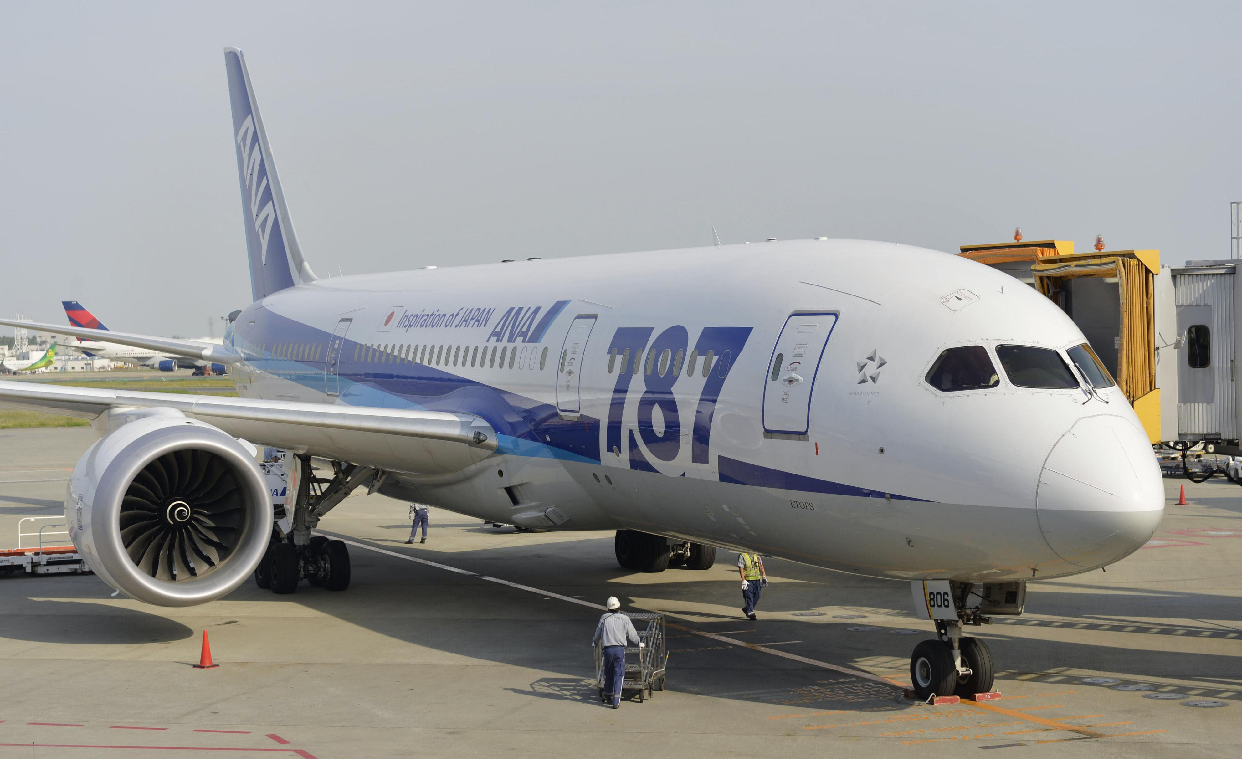 An ANA pilot was sentenced to 20 months in prison for abusing his power to grope a flight attendant. Photo: Kyodo