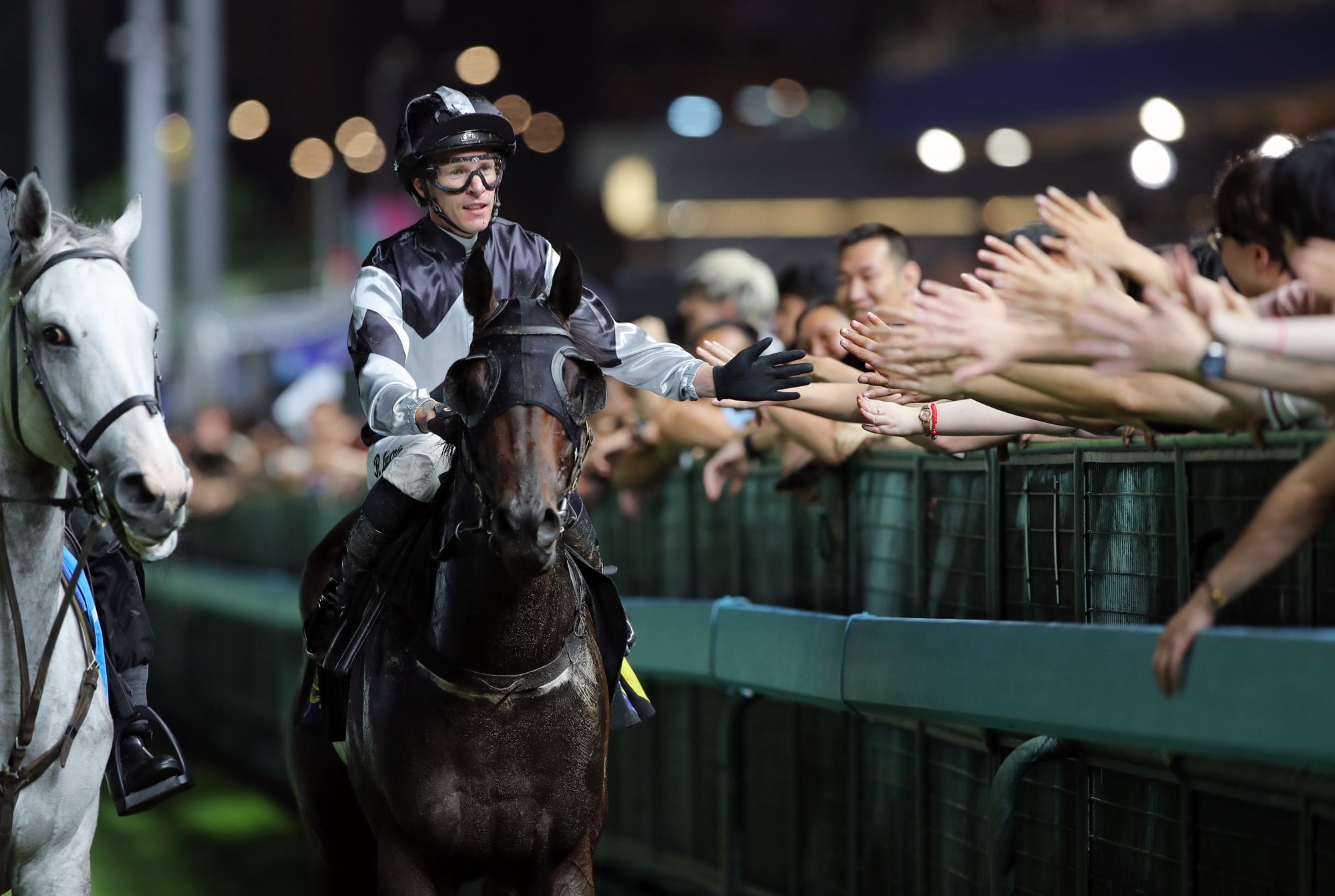 Gratifide, ridden by Richard Kingscote, returns after winning at Happy Valley. Gratifide, ridden by Richard Kingscote, returns after winning at Happy Valley.