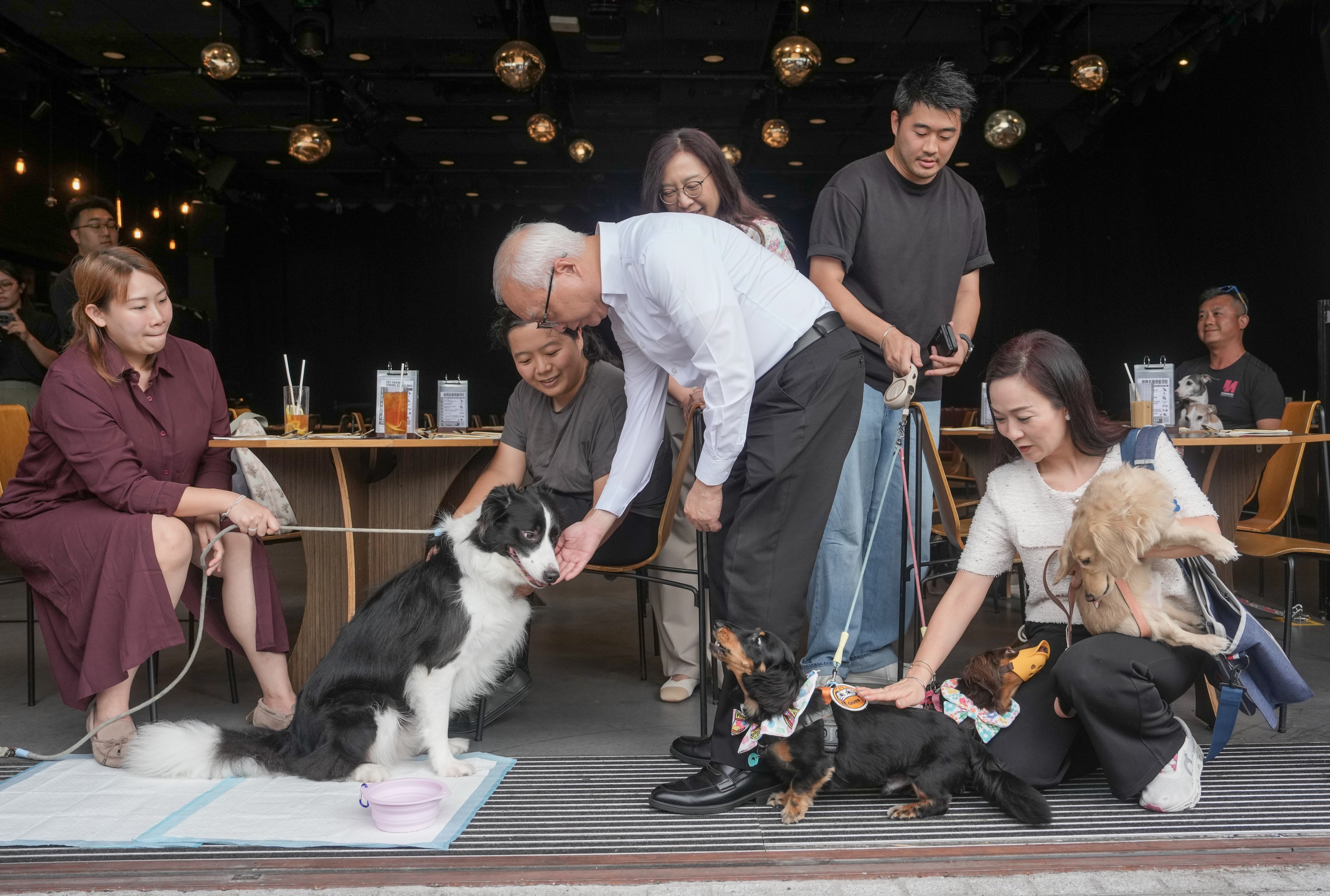 Secretary for Environment and Ecology Tse Chin-wan (centre in white) greets patrons and their dogs at a restaurant in the West Kowloon Cultural District, on the first day the scheme came into effect. Photo: Sam Tsang