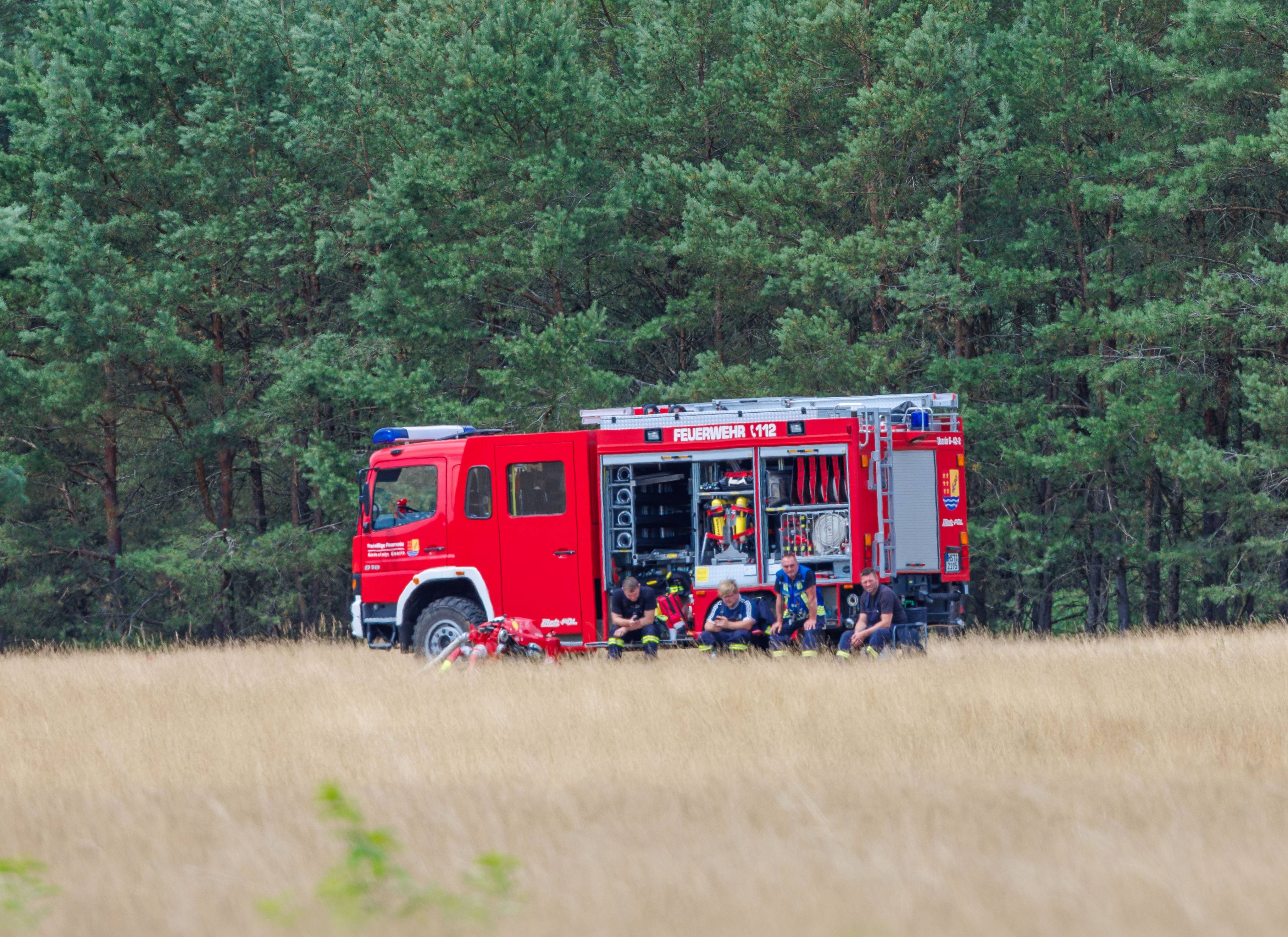 Firefighters are stationed at the edge of a forest in Mueritz National Park on Tuesday. Photo: dpa