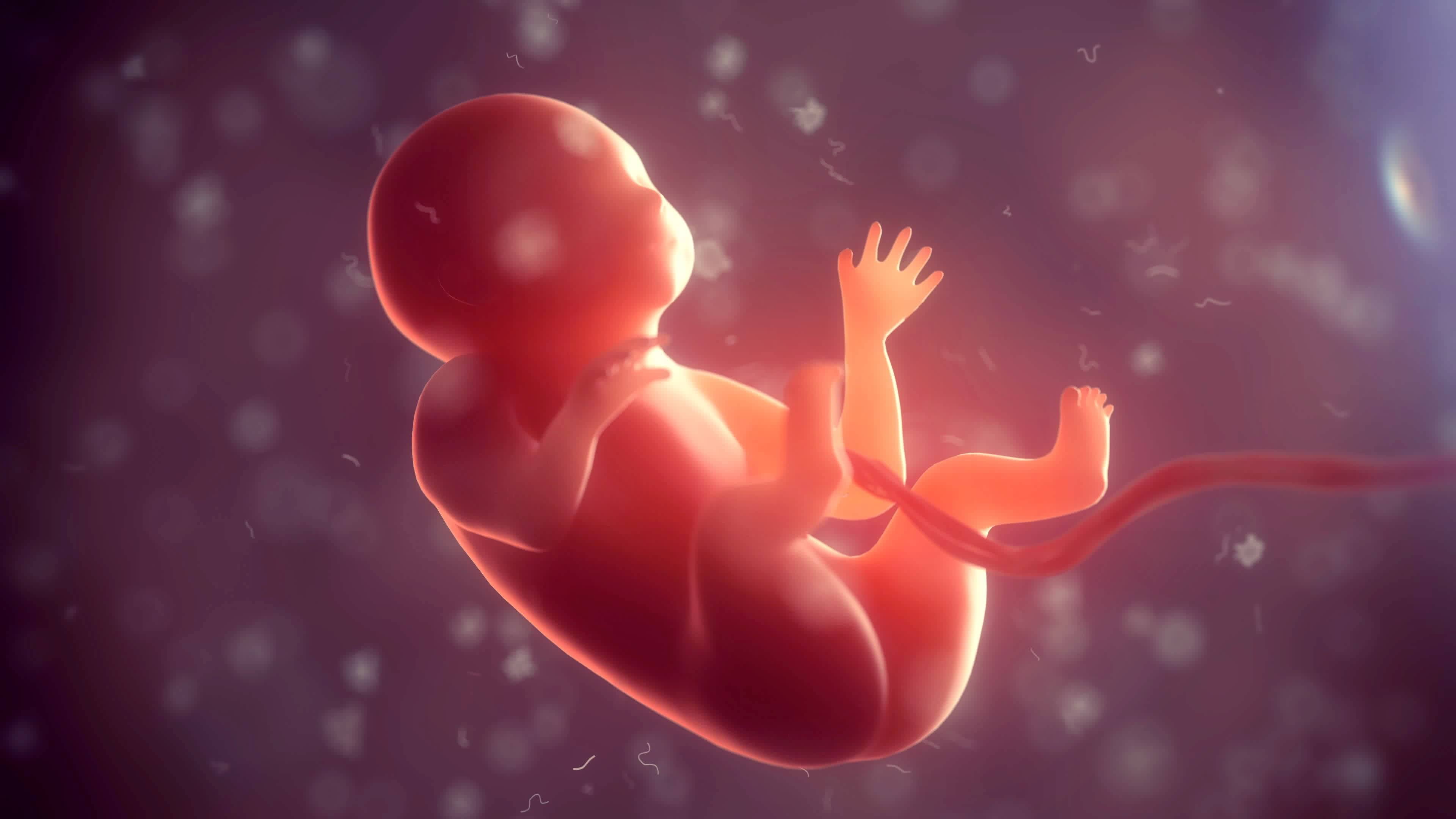 The study marks the world’s first successful differentiation of human embryonic stem cells into germ cells in a space environment, according to paper published in Science Advances. Photo: Shutterstock