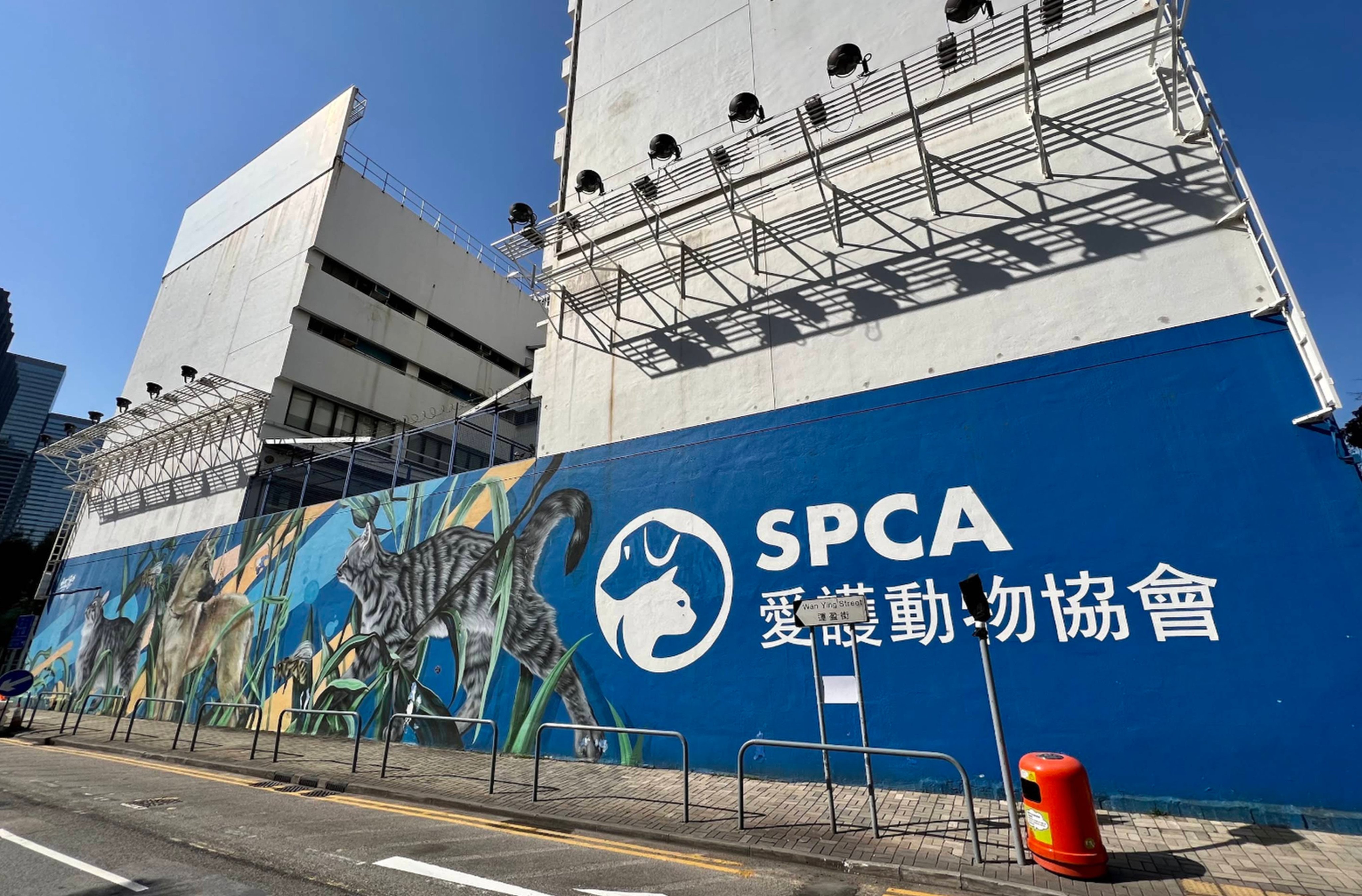 The SPCA's Wan Chai headquarters. The group reported the online video showing animal abuse in mainland China to Hong Kong police, in an effort to get the footage taken down. Photo: Handout