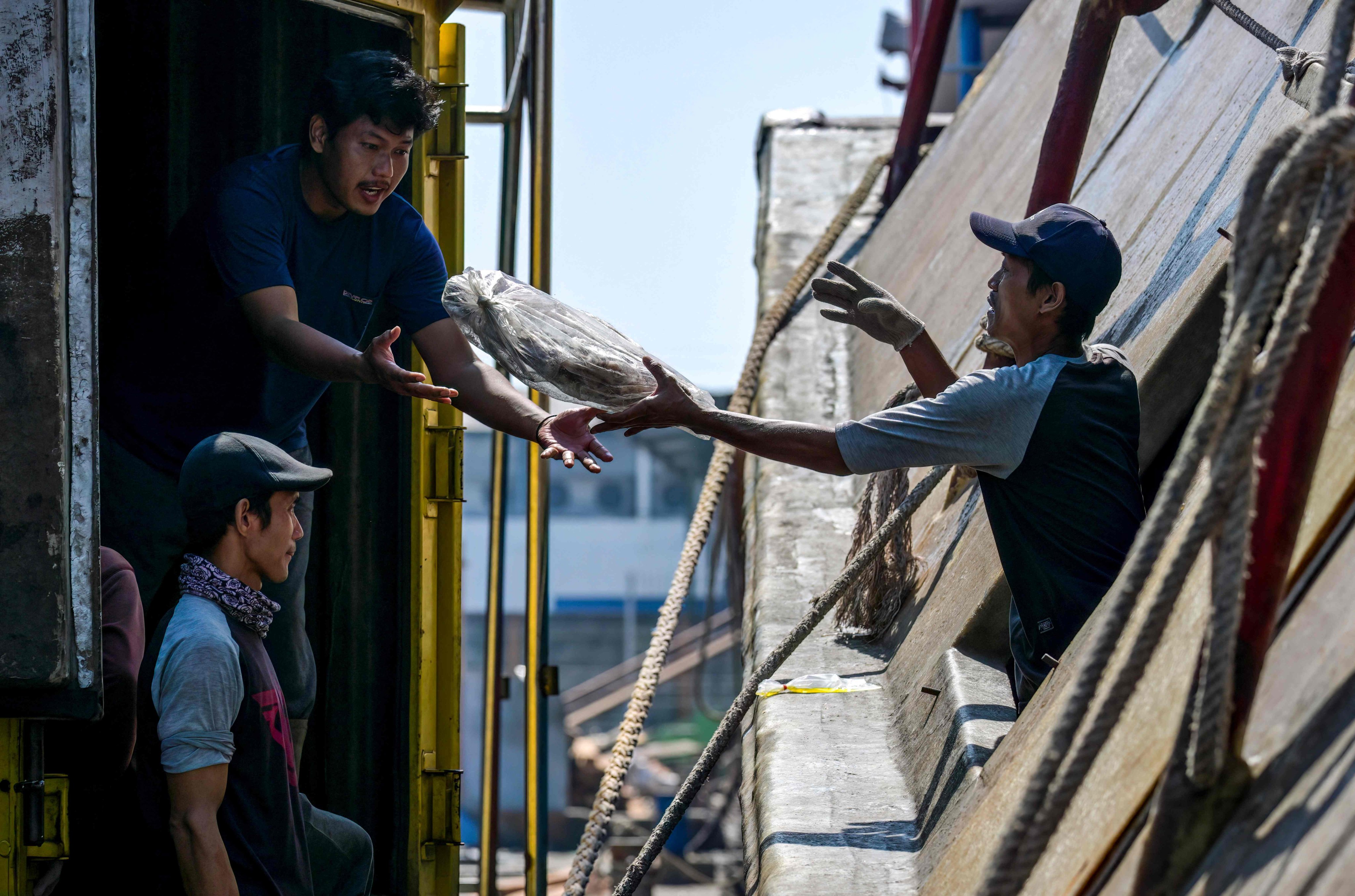 Crew members unload their catch at the Nusantara Fishing Port in Kejawan-Cirebon, West Java, on June 11. Photo: AFP